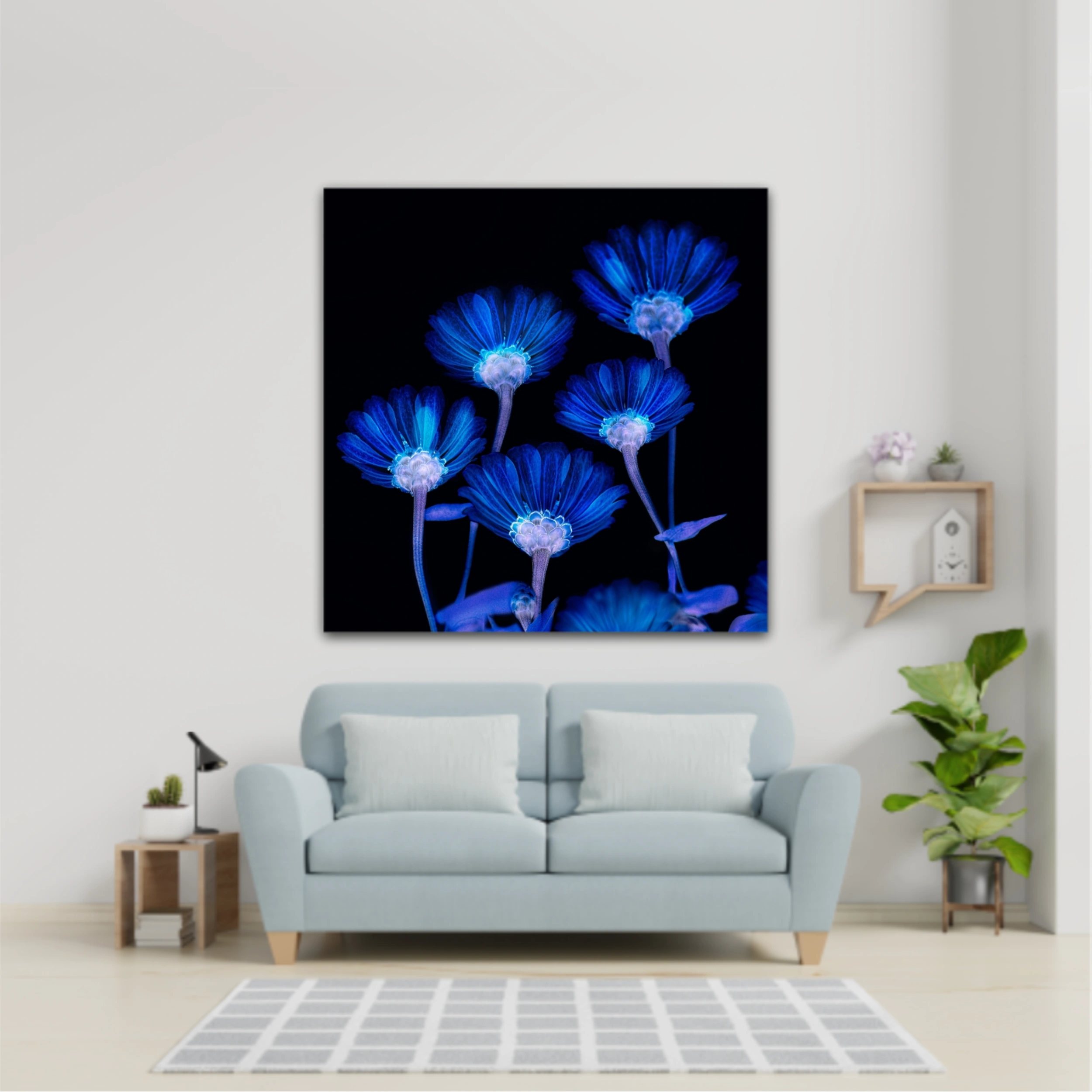 Flori albastre pe fundal negru  |  Blue flowers in Black Background