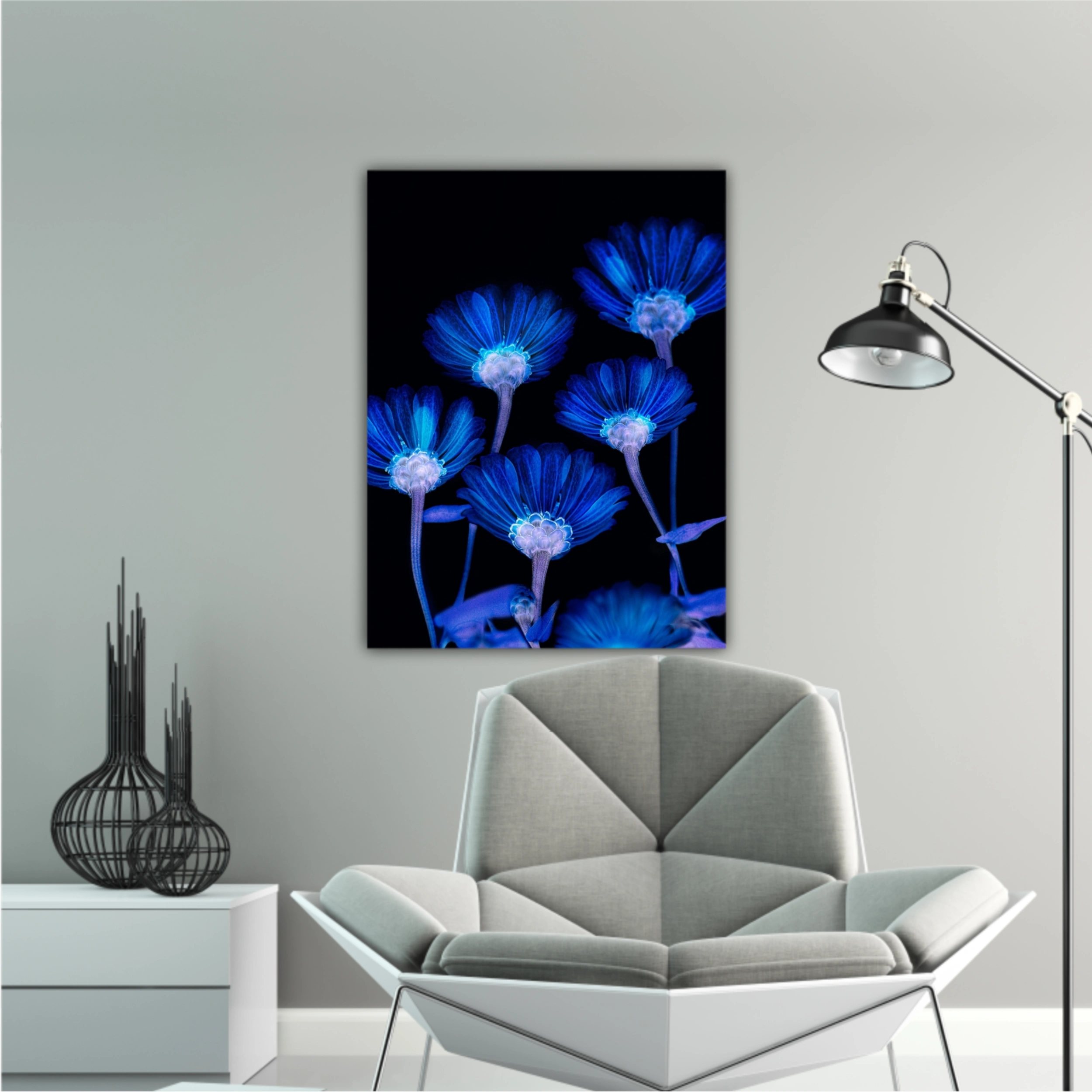 Flori albastre pe fundal negru  |  Blue flowers in Black Background