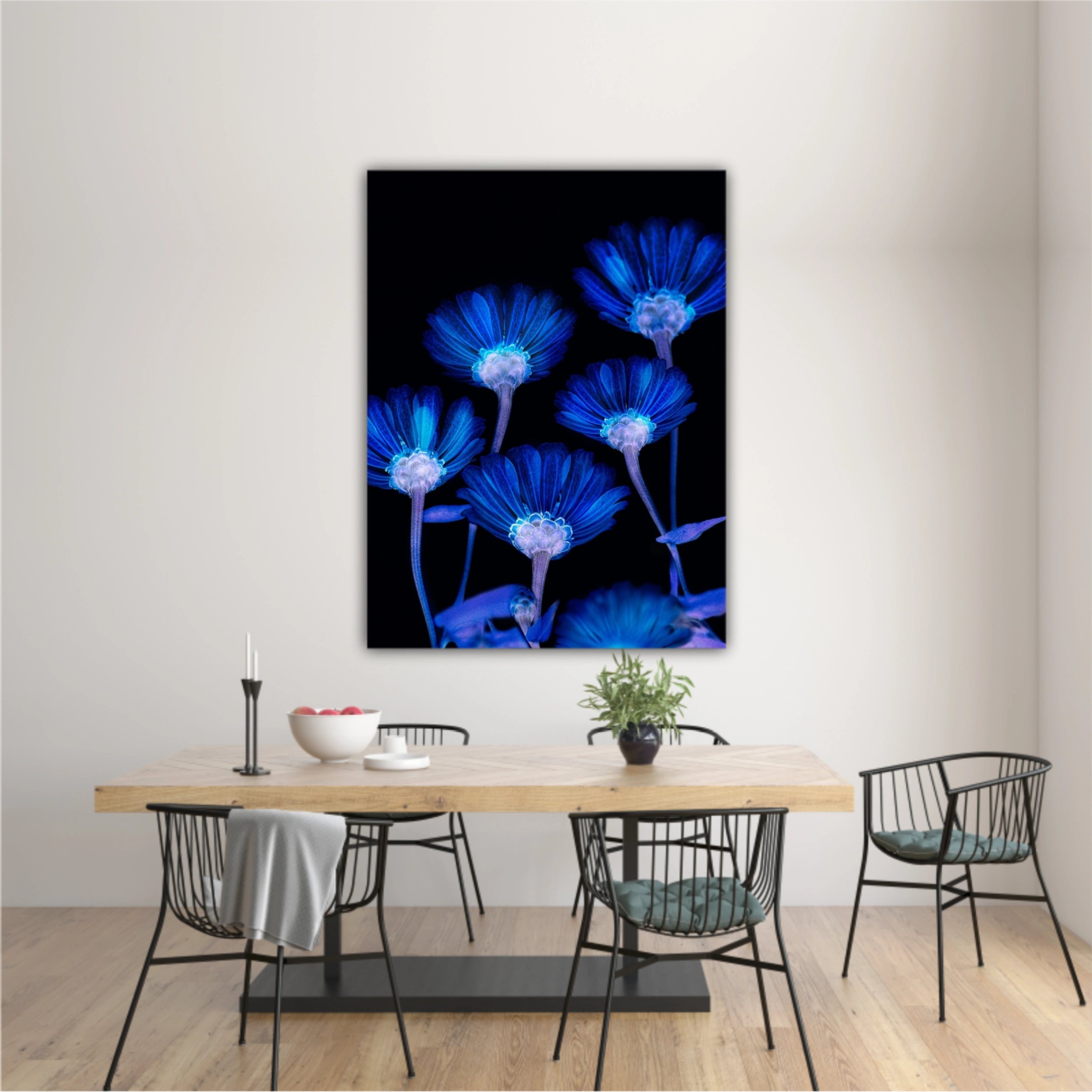 Flori albastre pe fundal negru  |  Blue flowers in Black Background