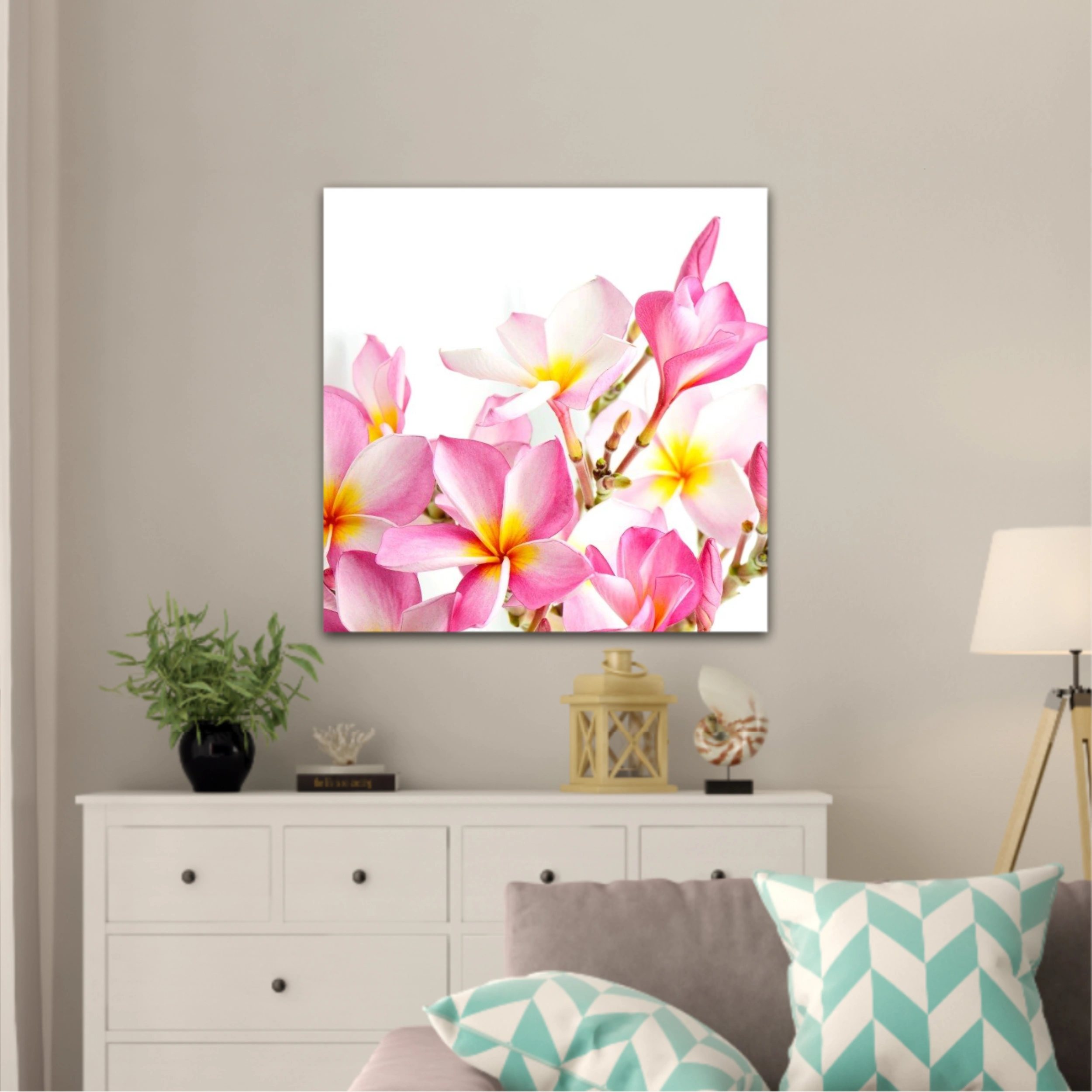 Floare de floare roz Plumeria, izolată pe un fundal alb  |  Blossom pink Plumeria flower, isolated on a white background