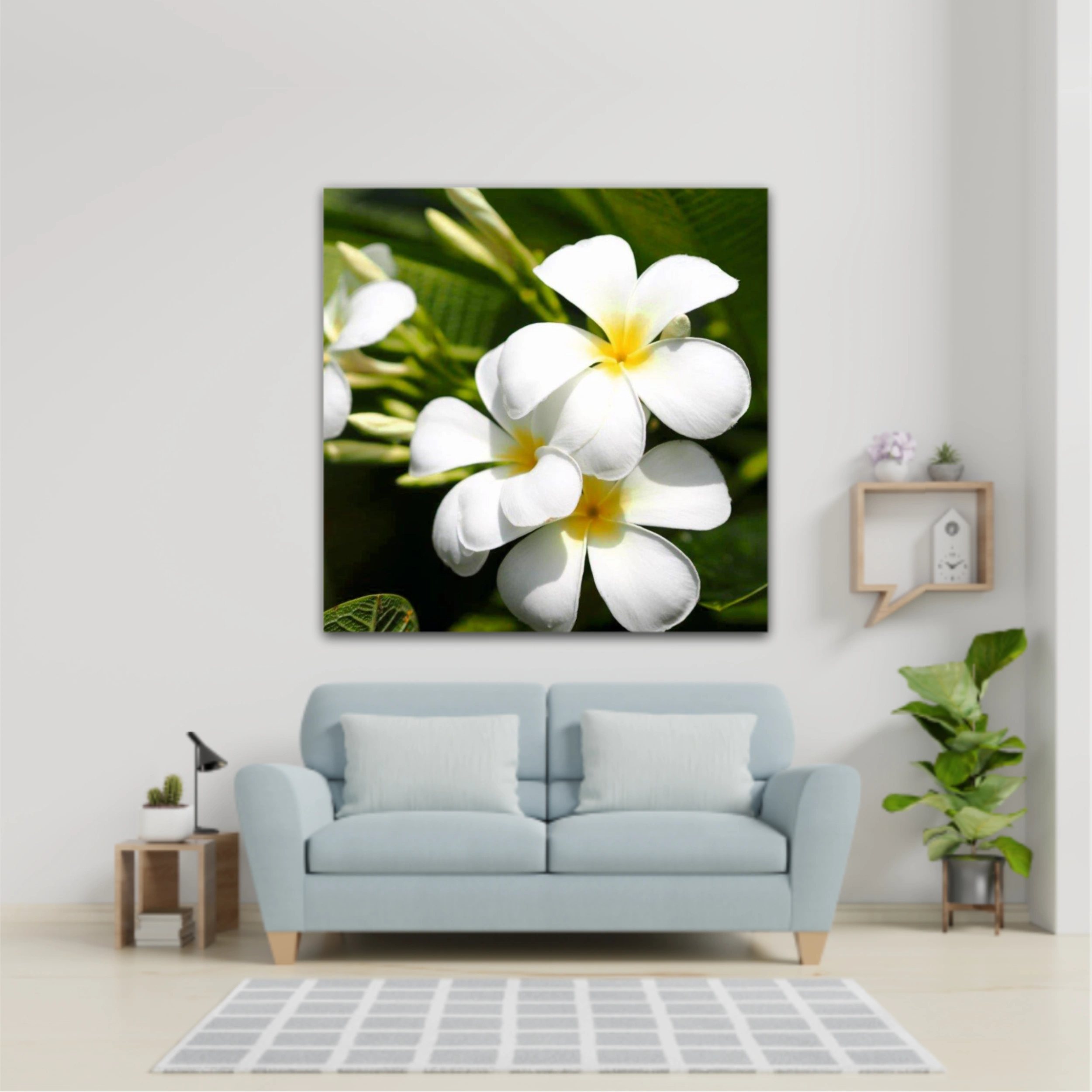 Plumeria