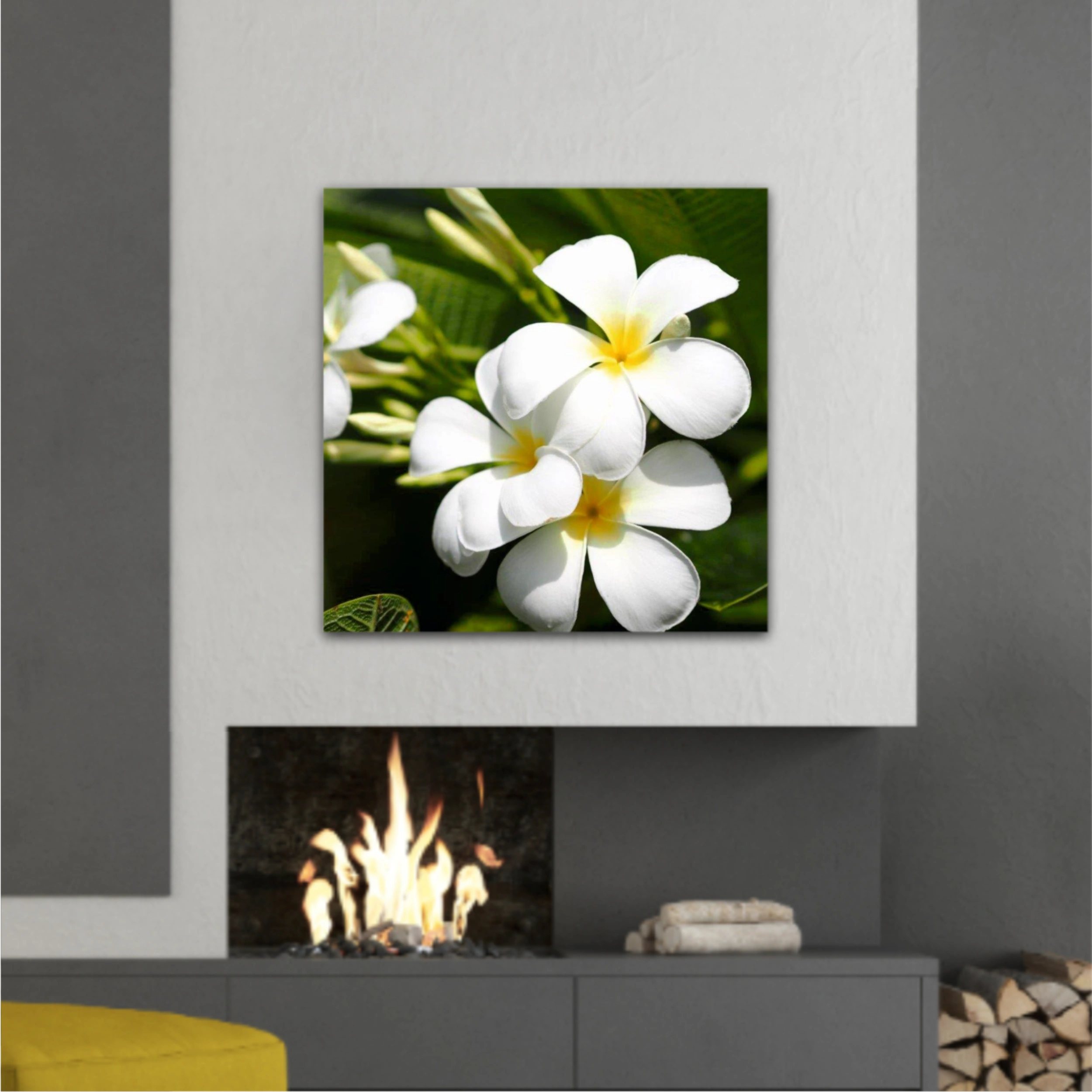 Plumeria