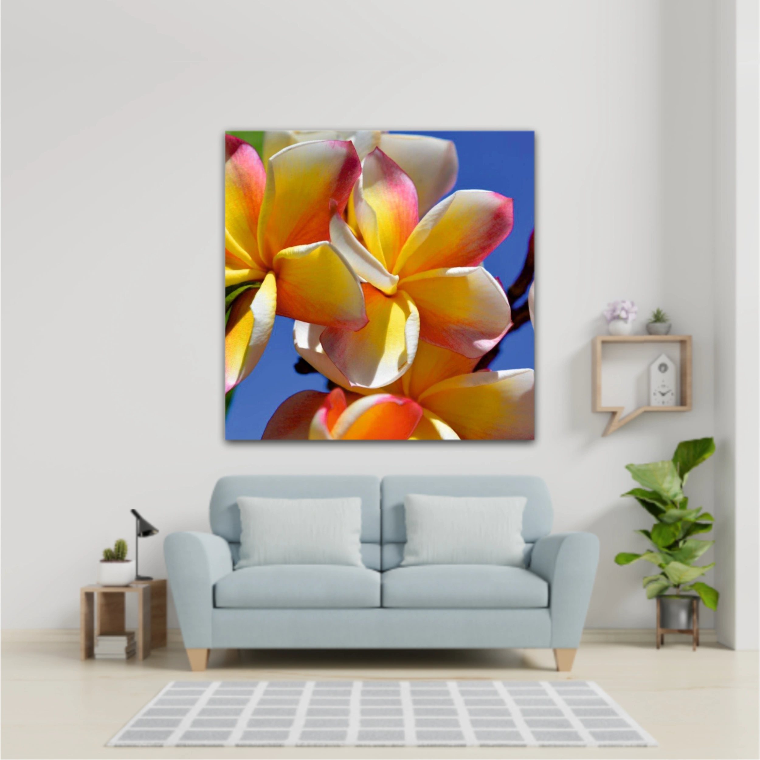 Plumeria