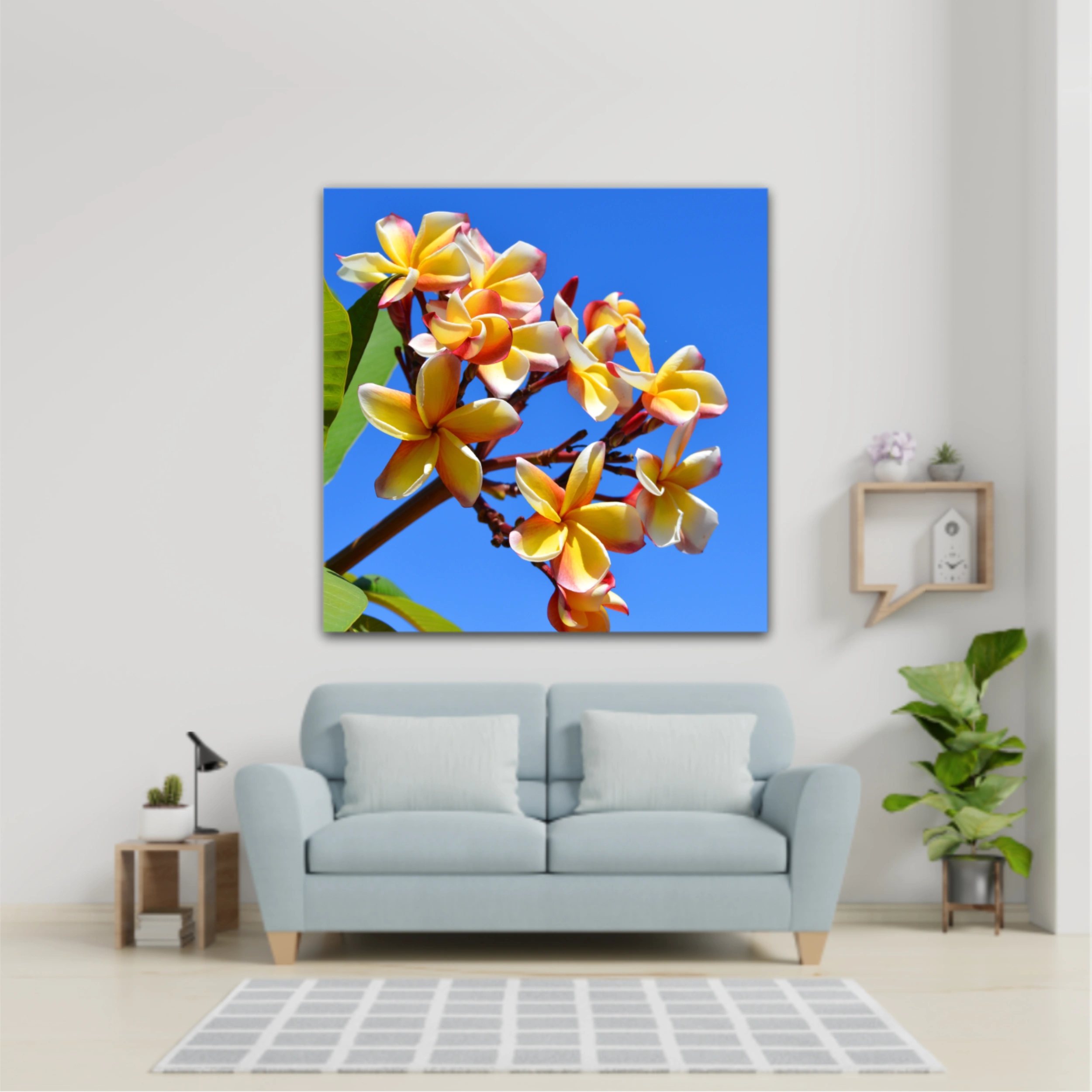 Plumeria