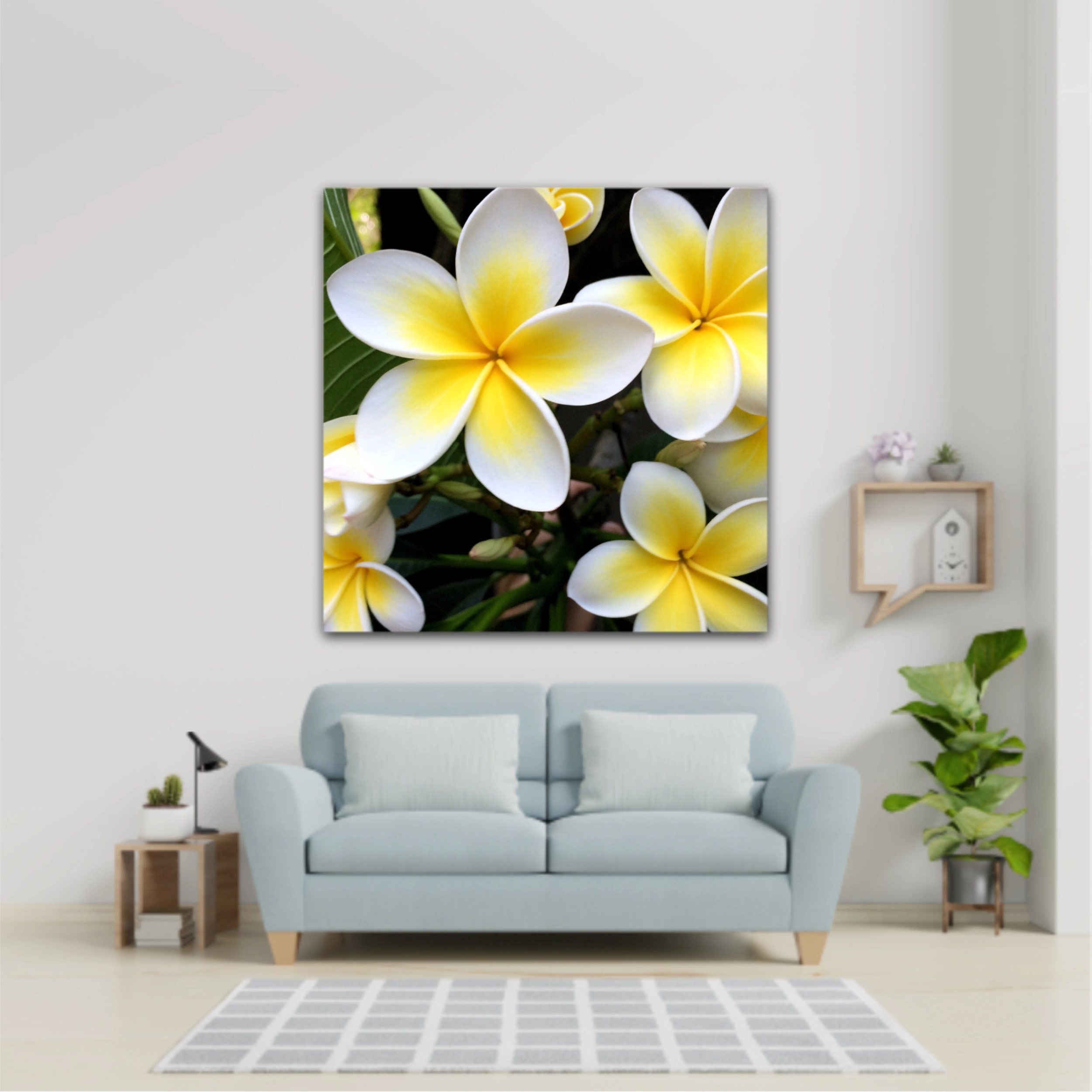 Plumeria