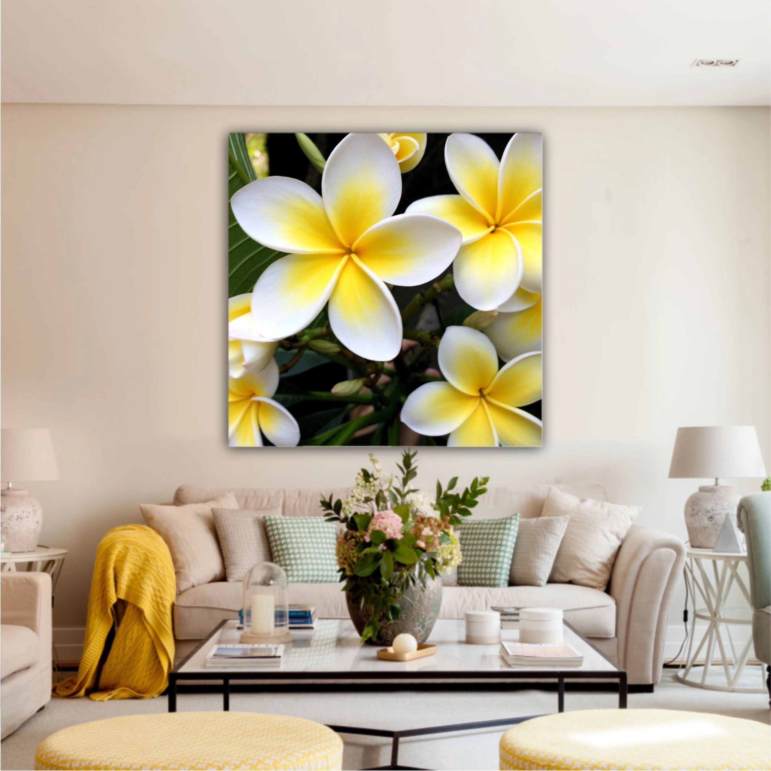 Plumeria