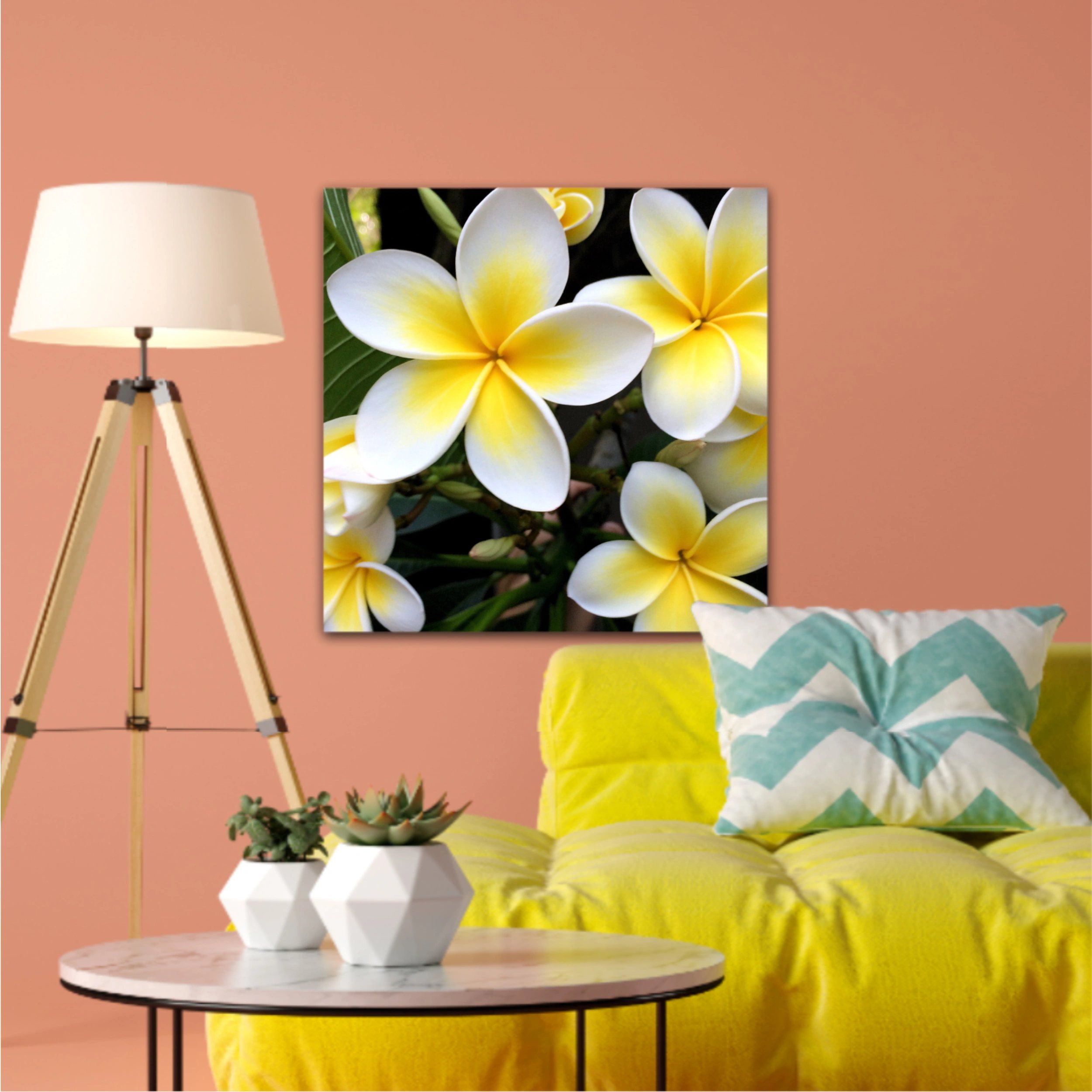 Plumeria