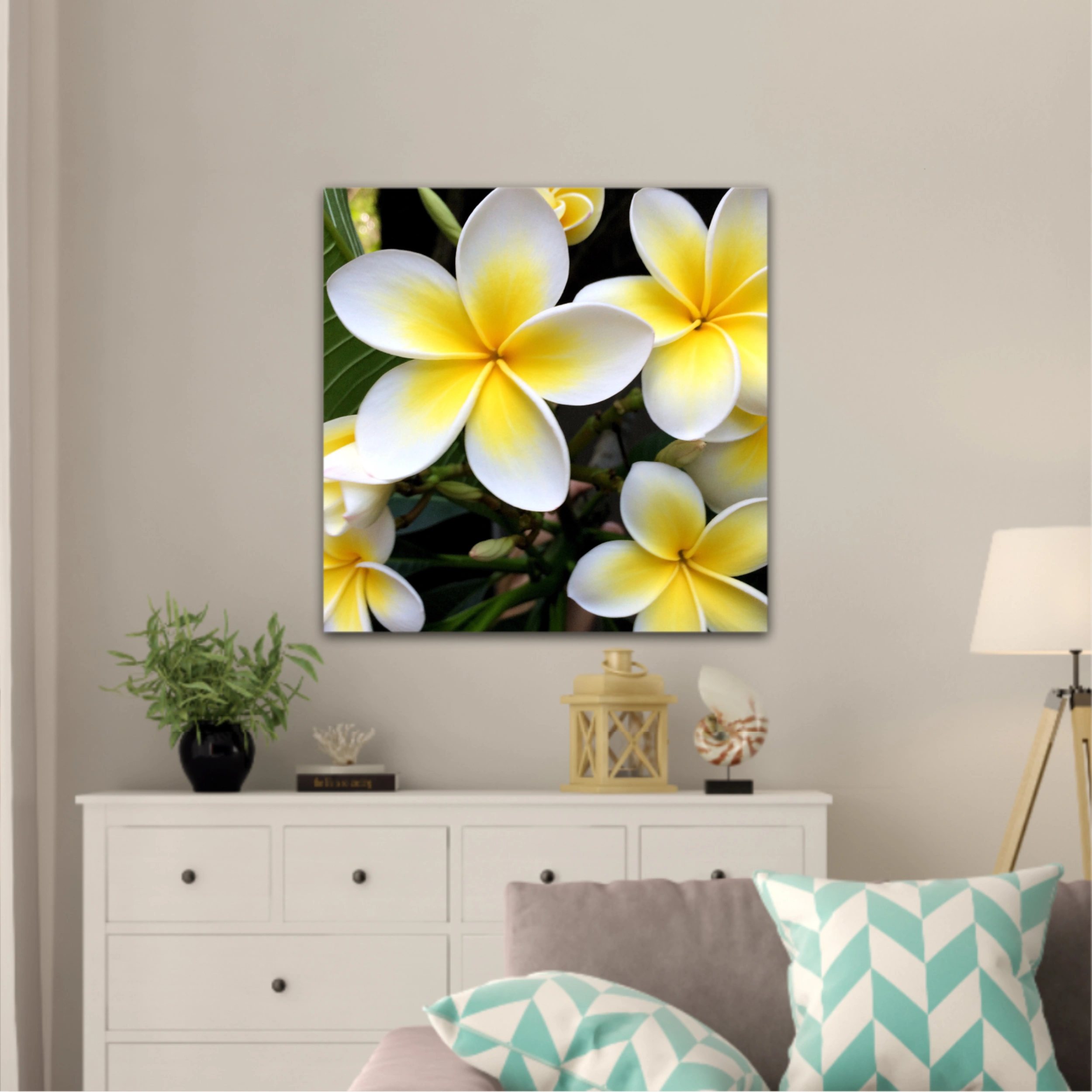 Plumeria