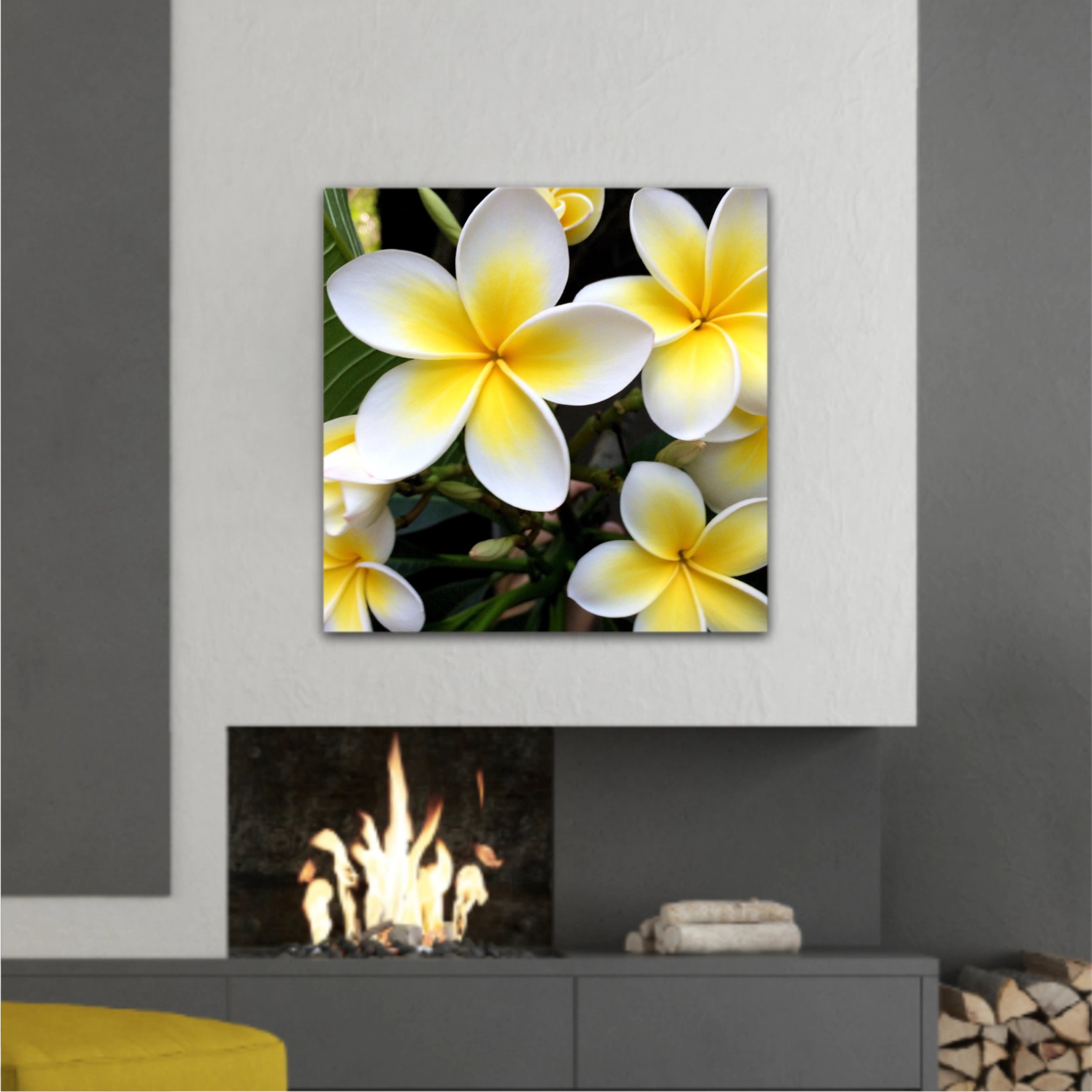 Plumeria