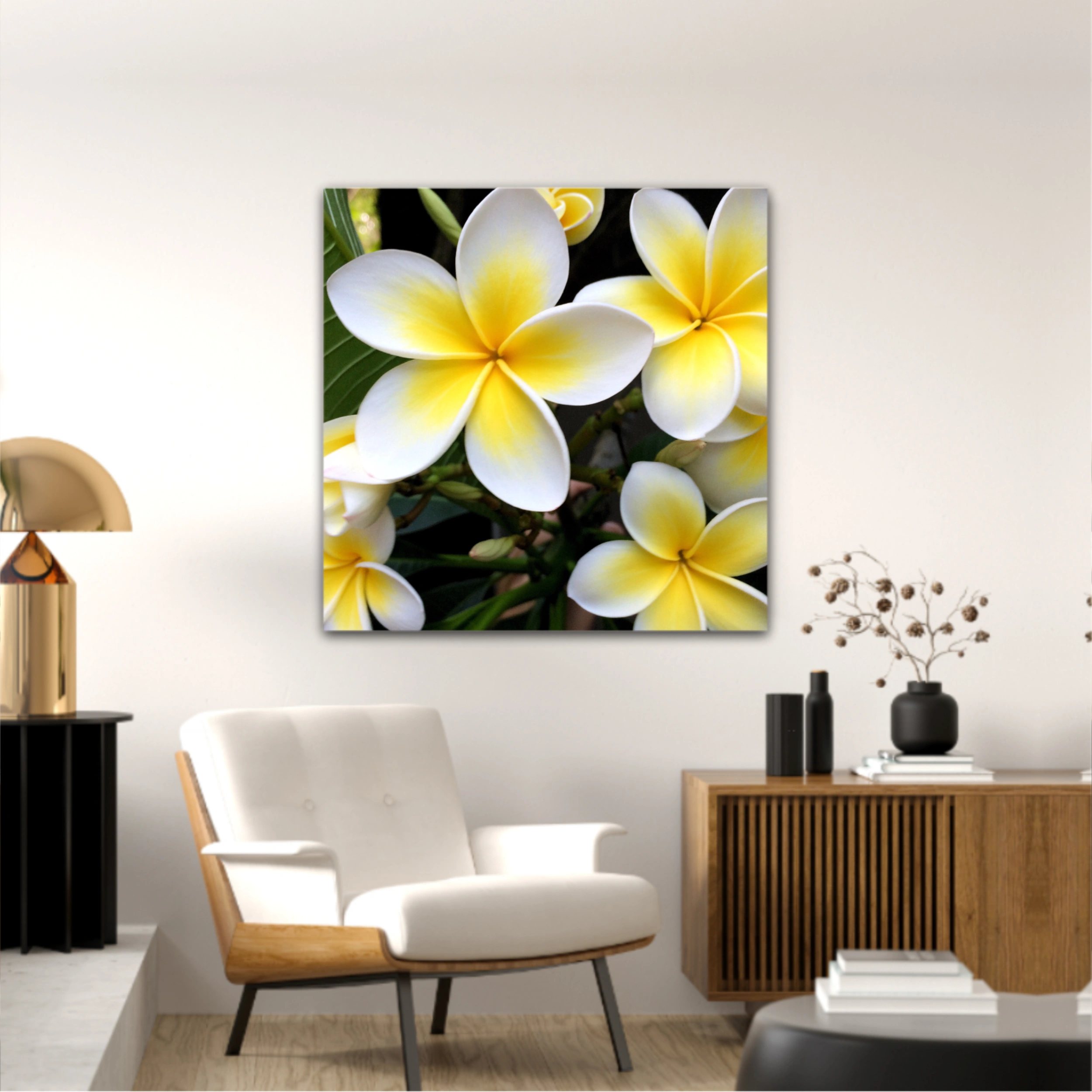 Plumeria