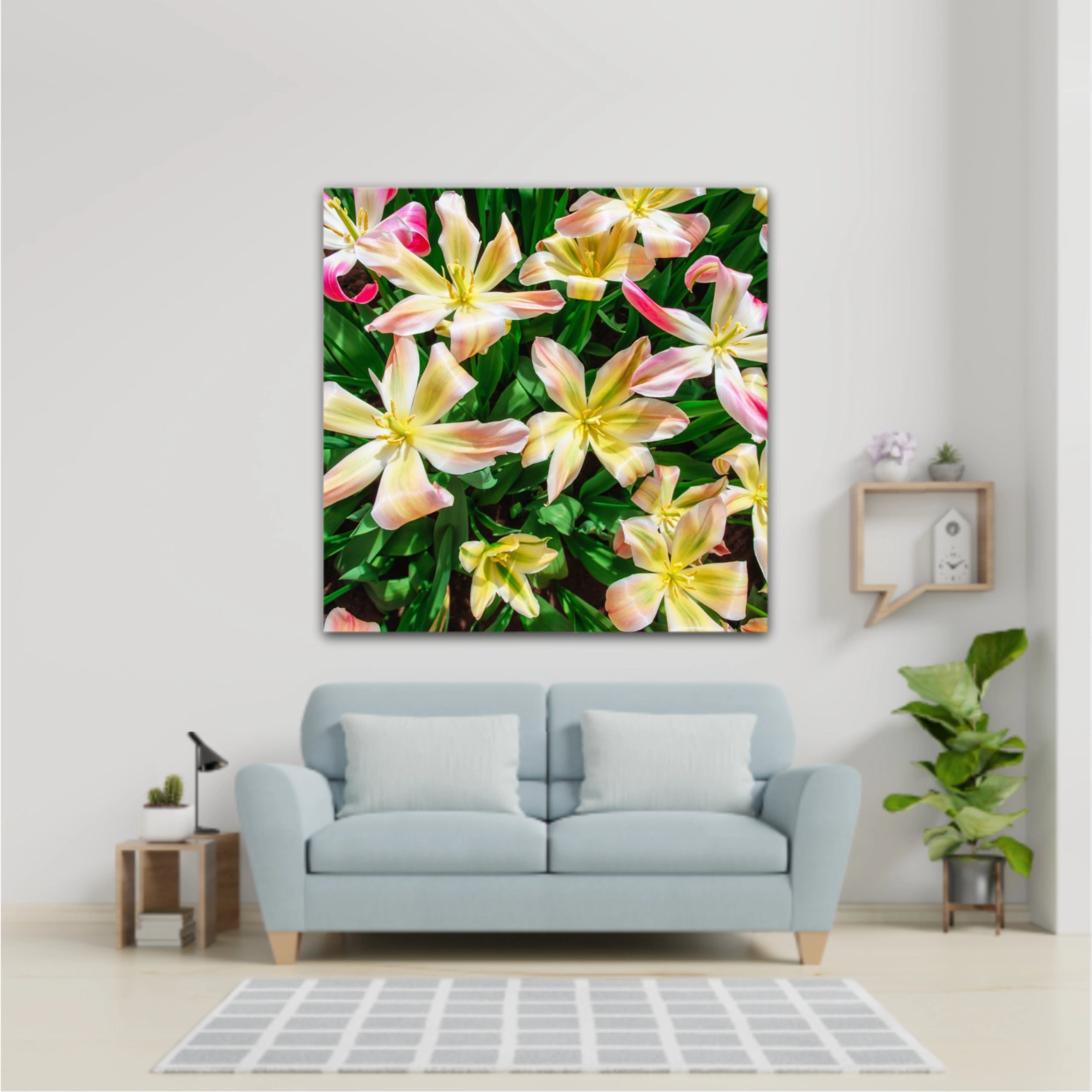 Plumeria