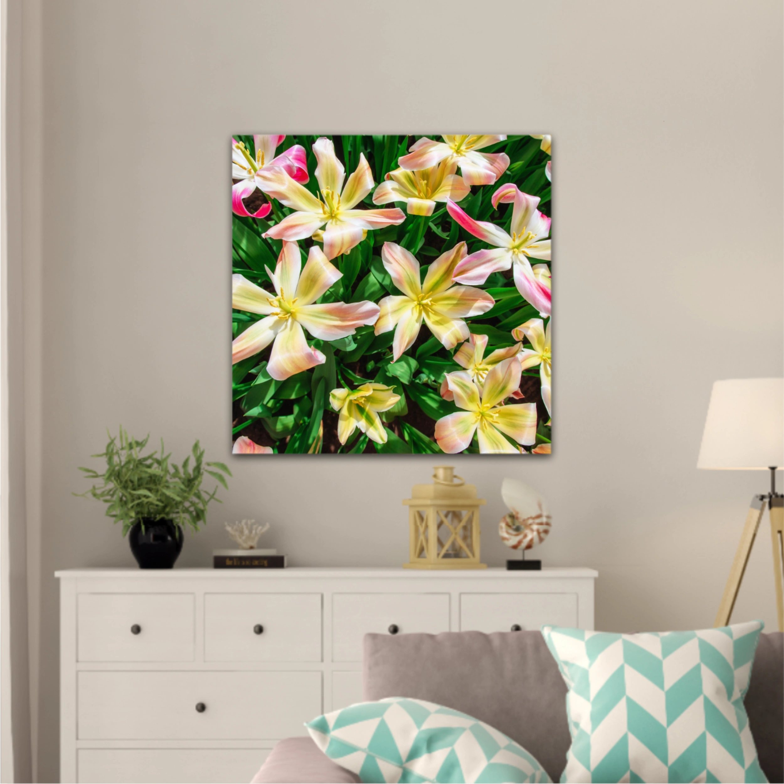 Plumeria