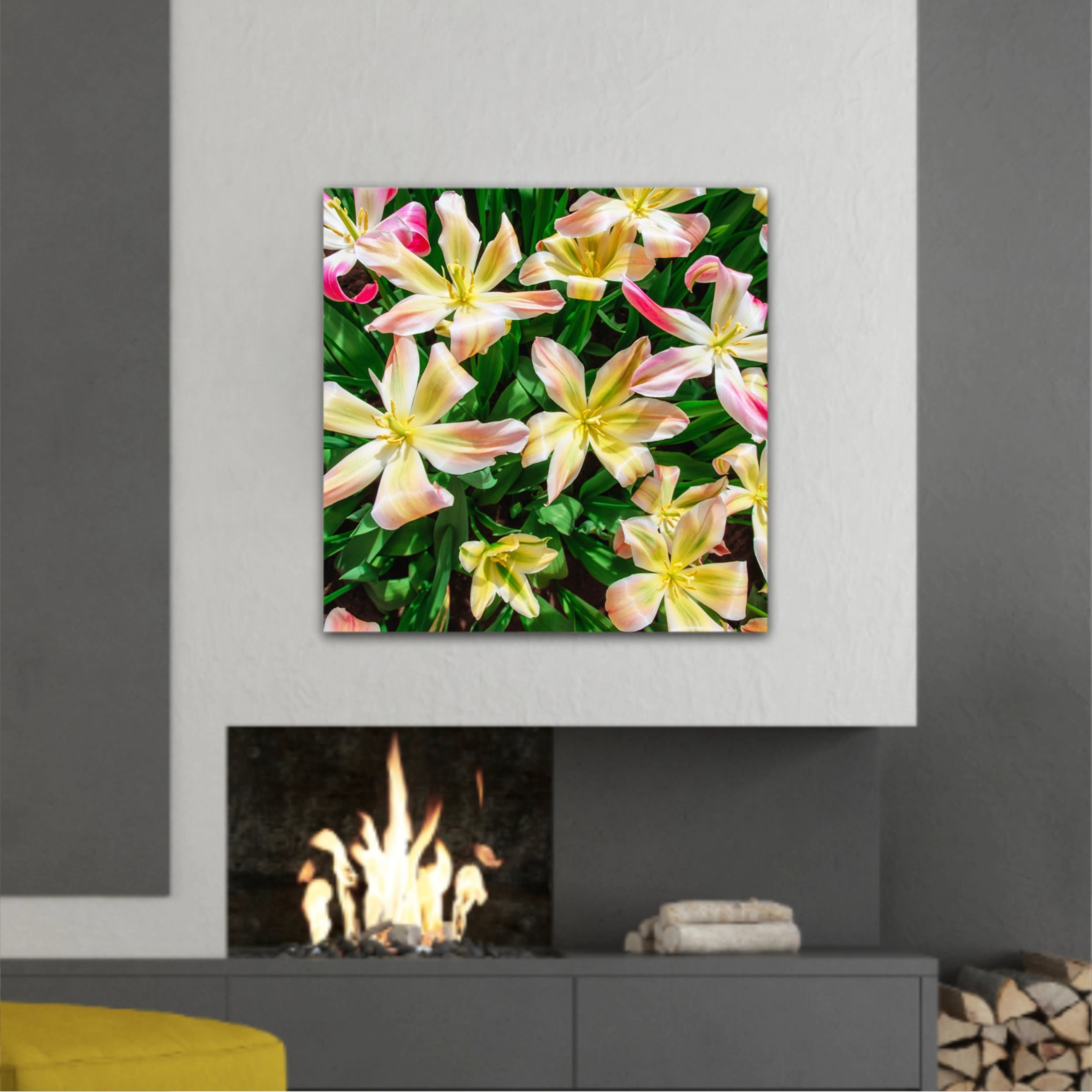 Plumeria