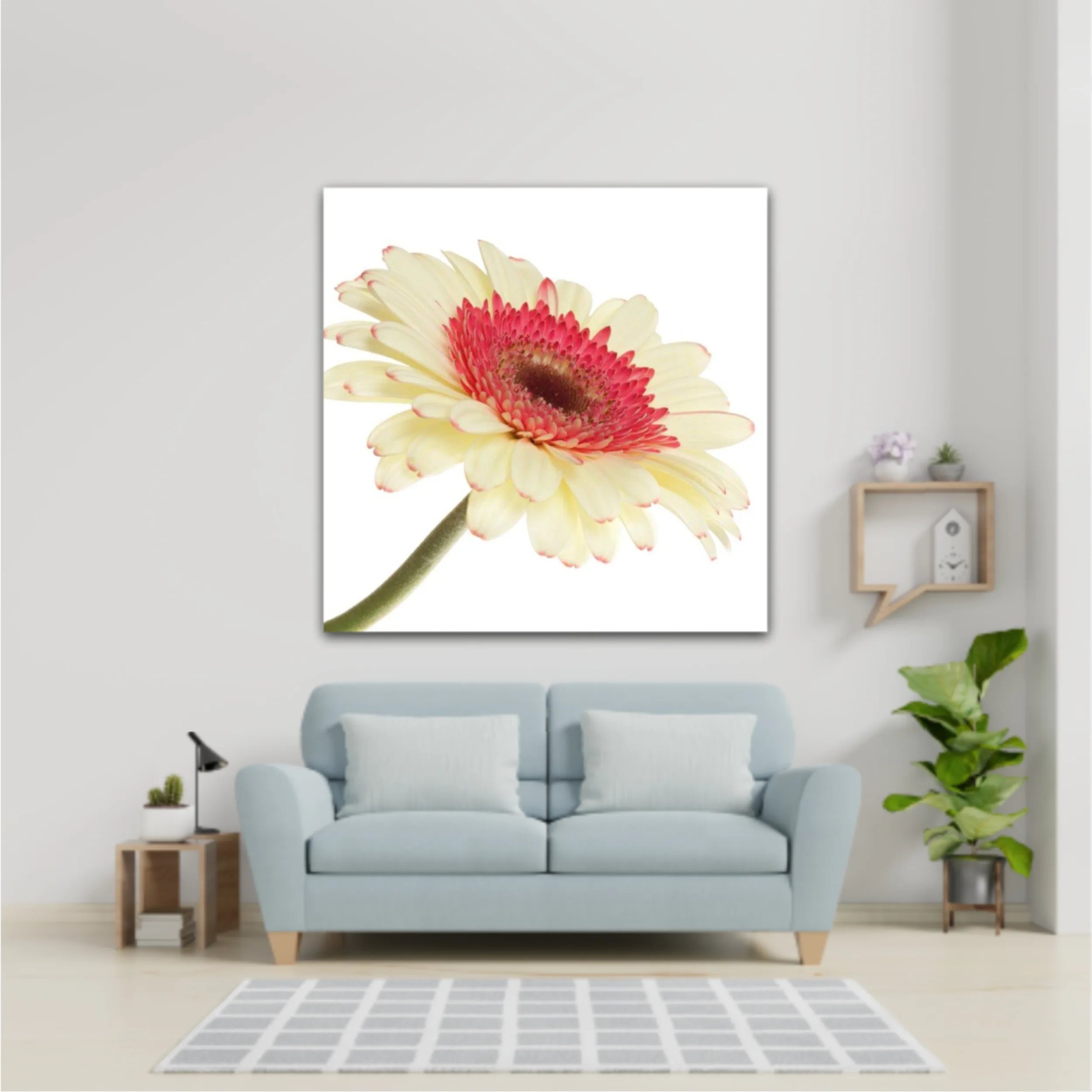 Floare de gerbera