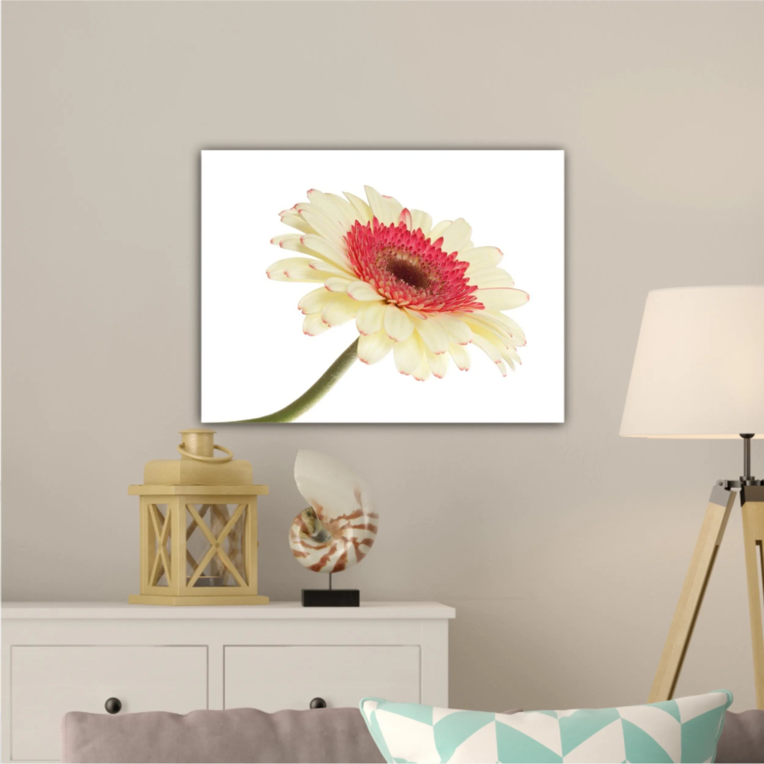 Floare de gerbera