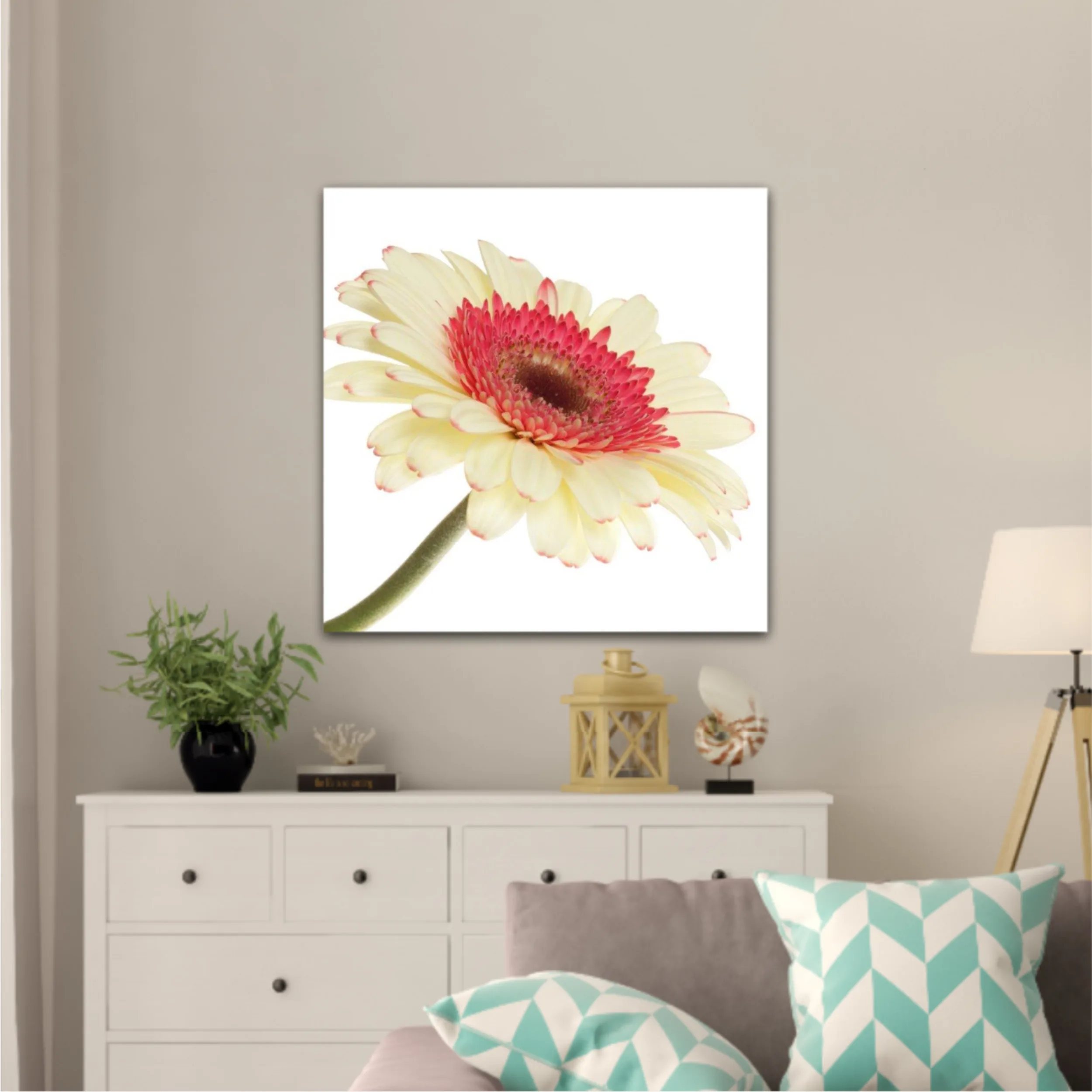 Floare de gerbera