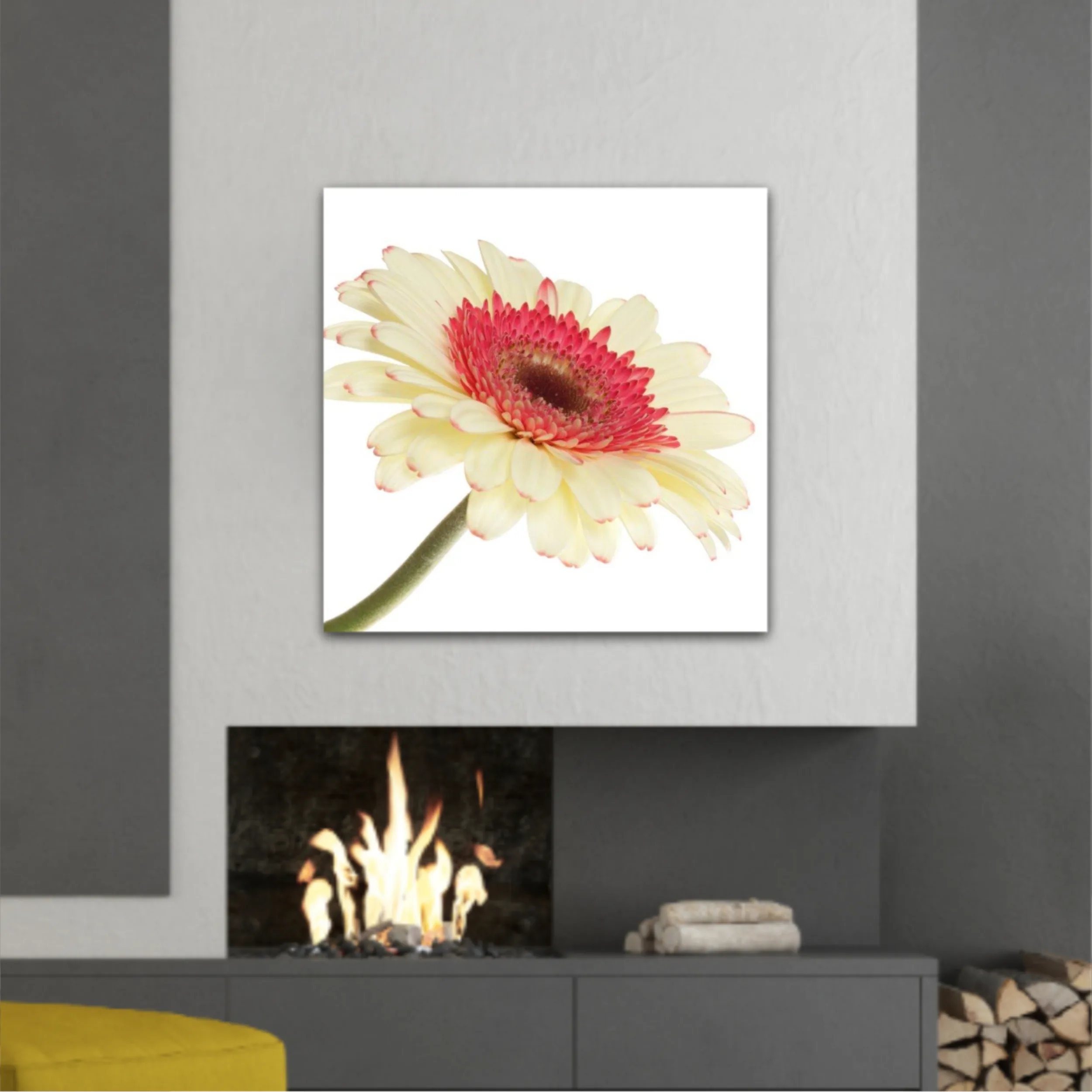 Floare de gerbera