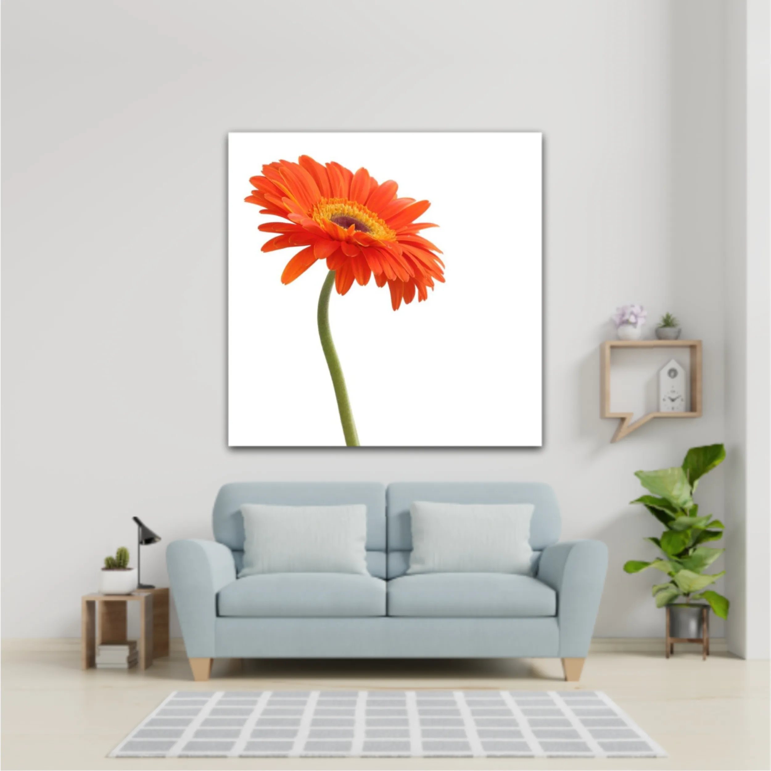 Floare de gerbera