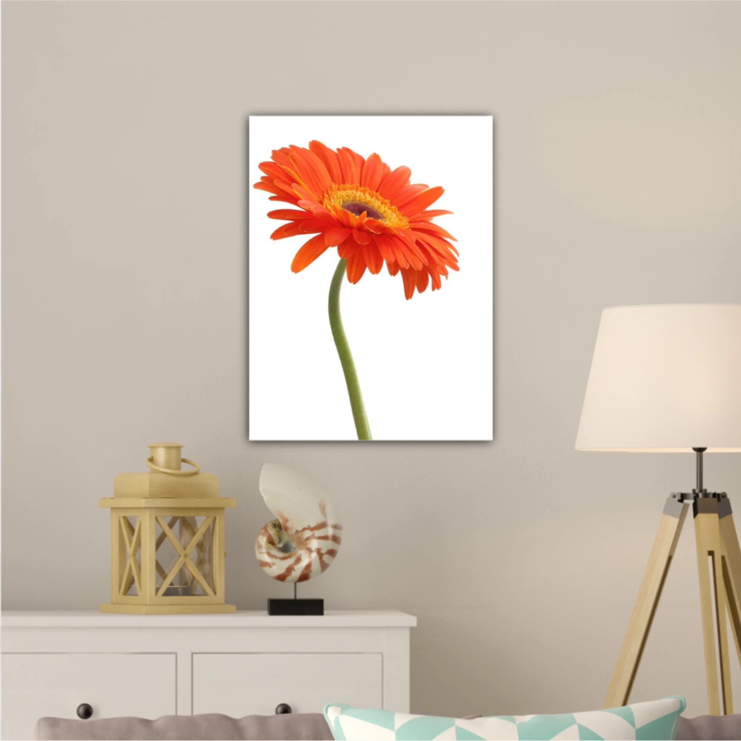 Floare de gerbera