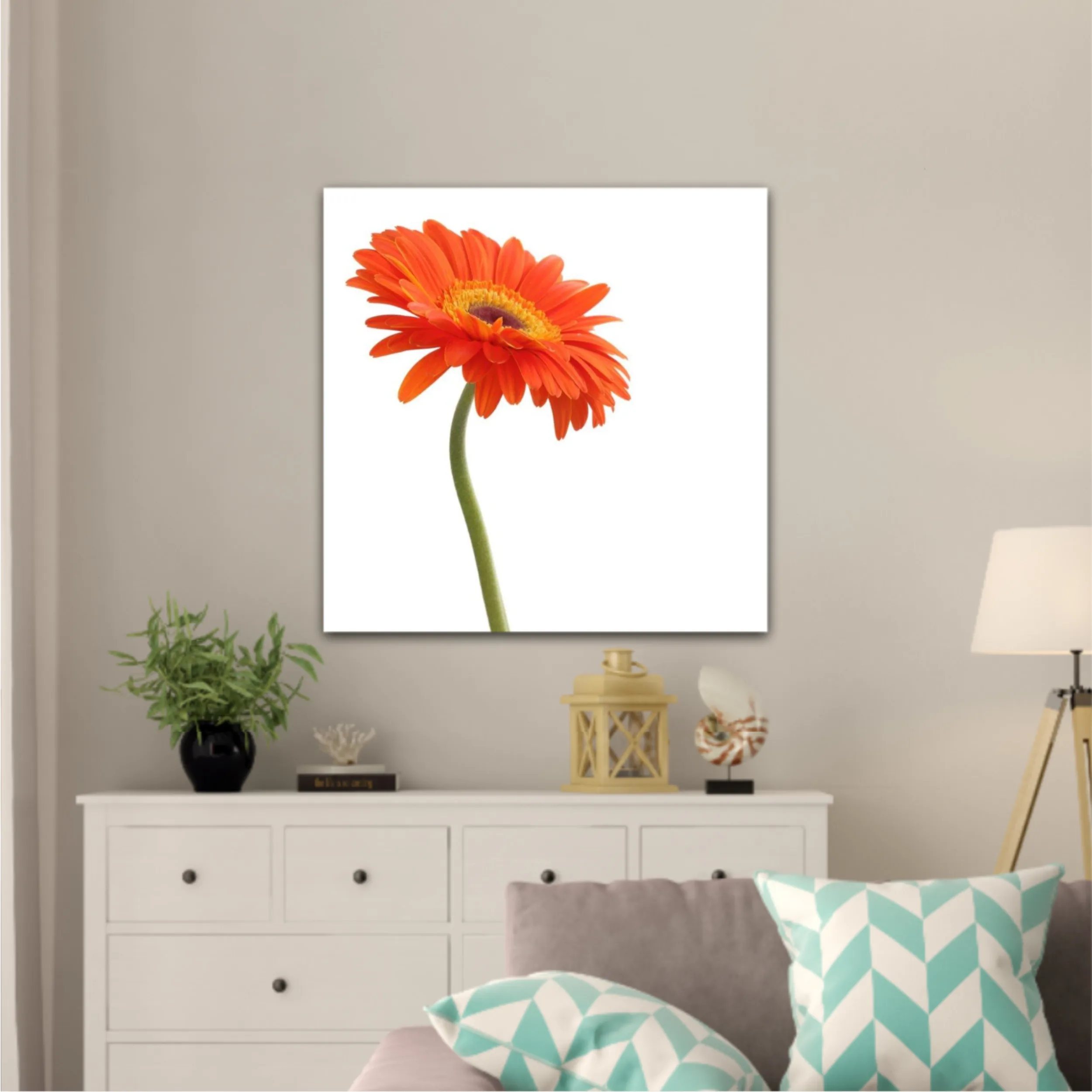 Floare de gerbera