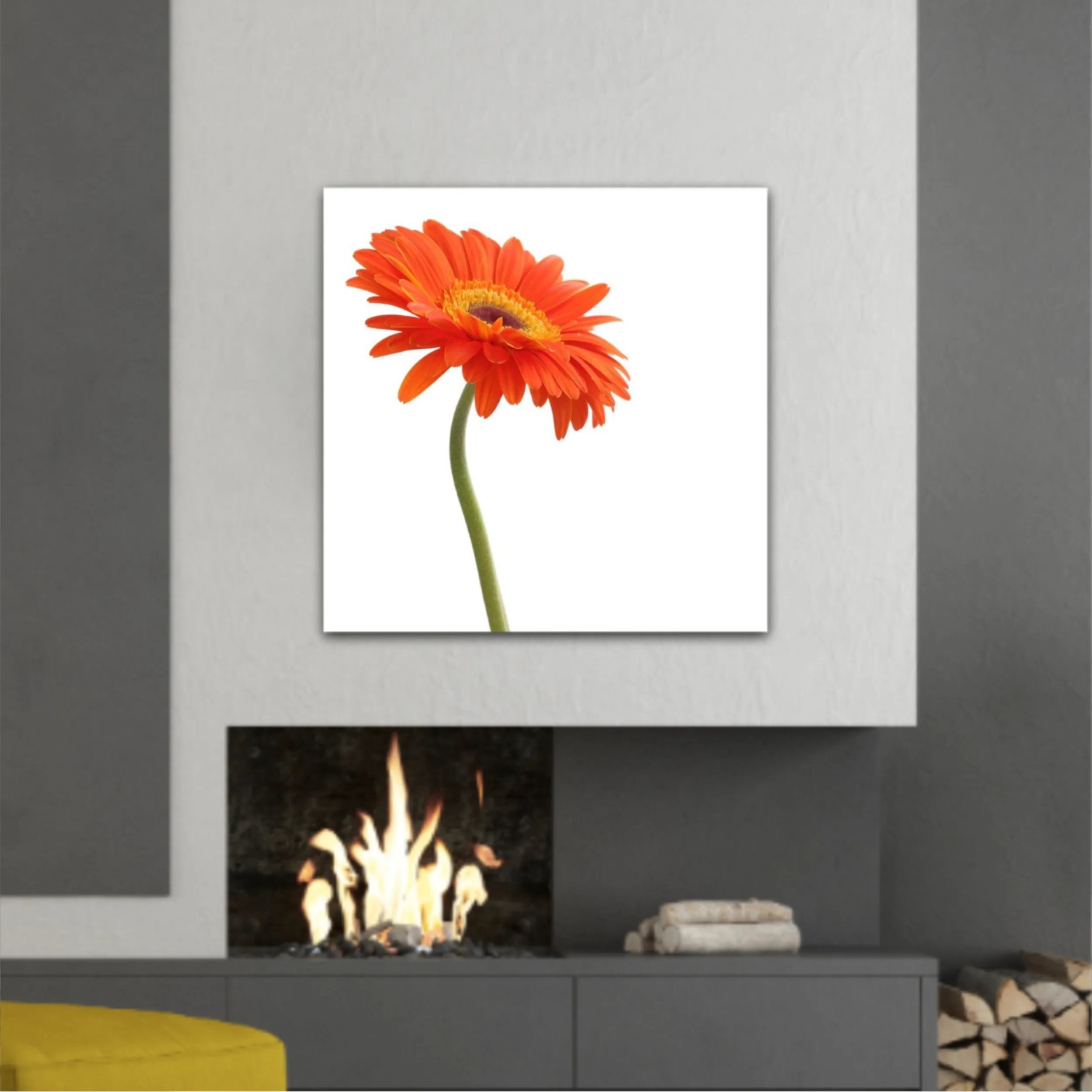 Floare de gerbera