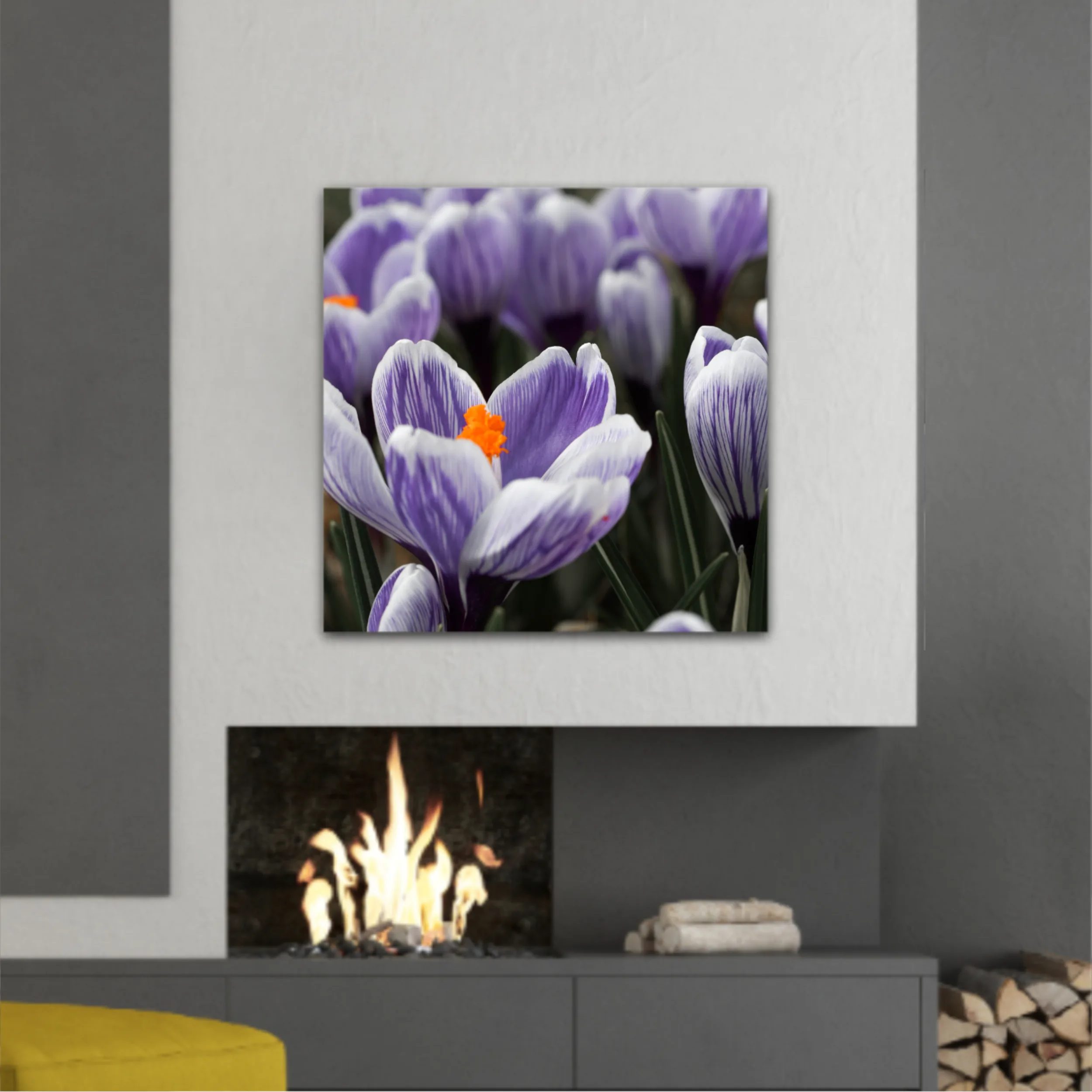 Crocus