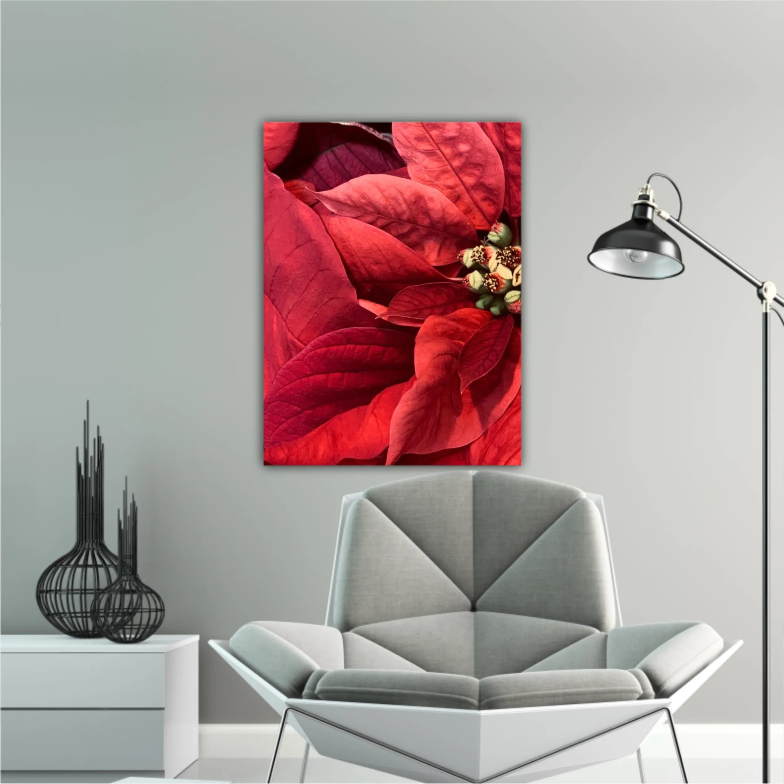 Red Poinsettia flowers closed from above