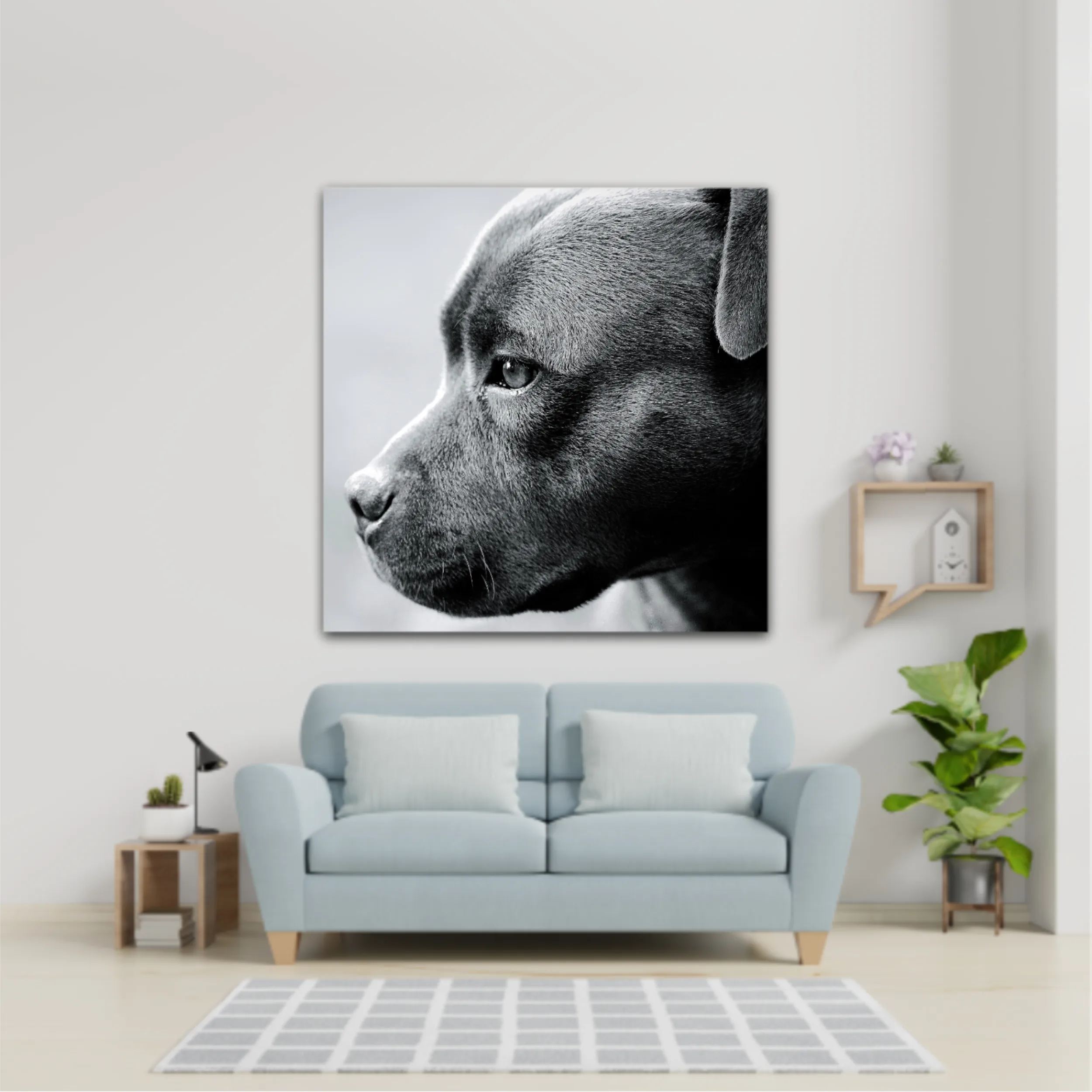 Beautiful staffordshire bull-terrier