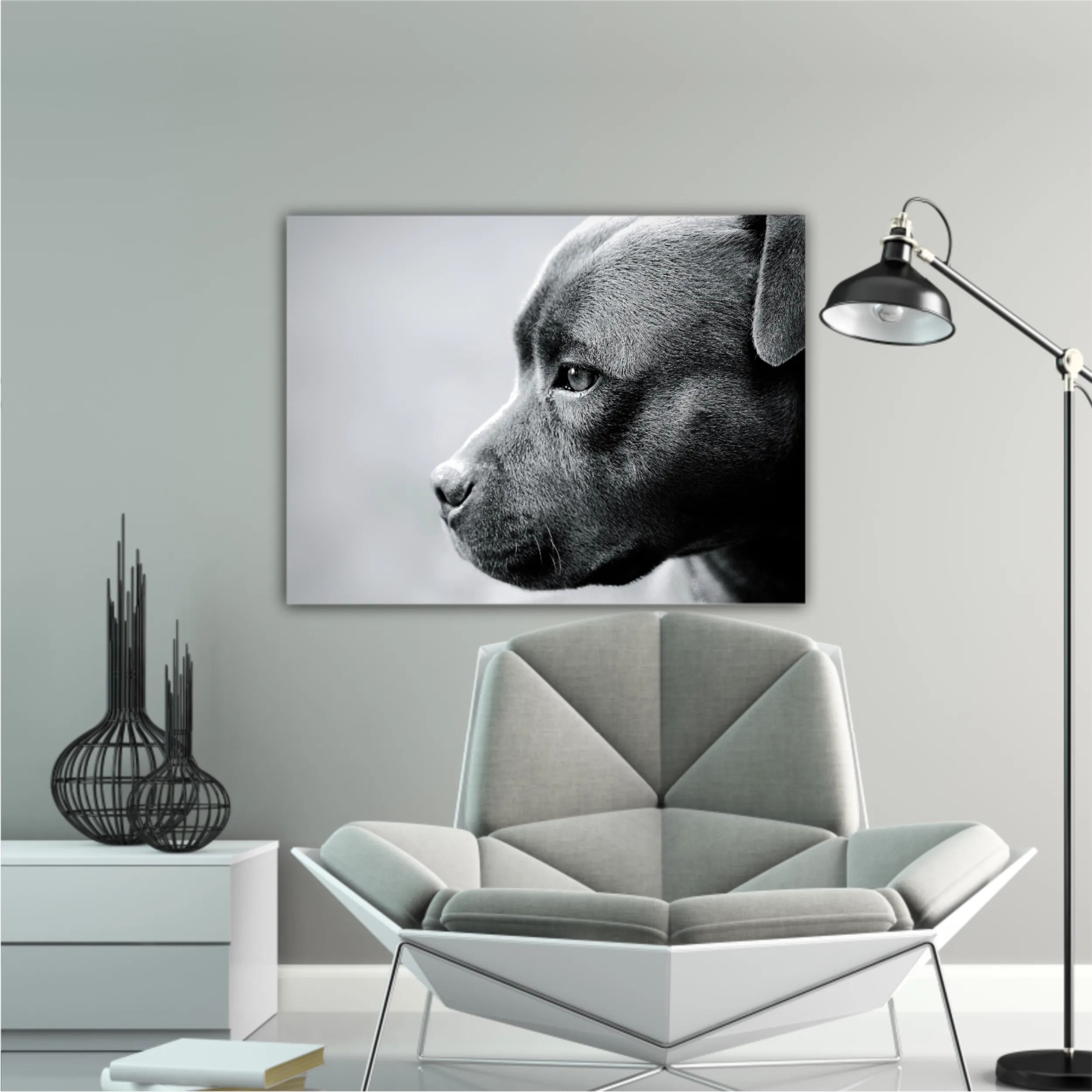 Beautiful staffordshire bull-terrier