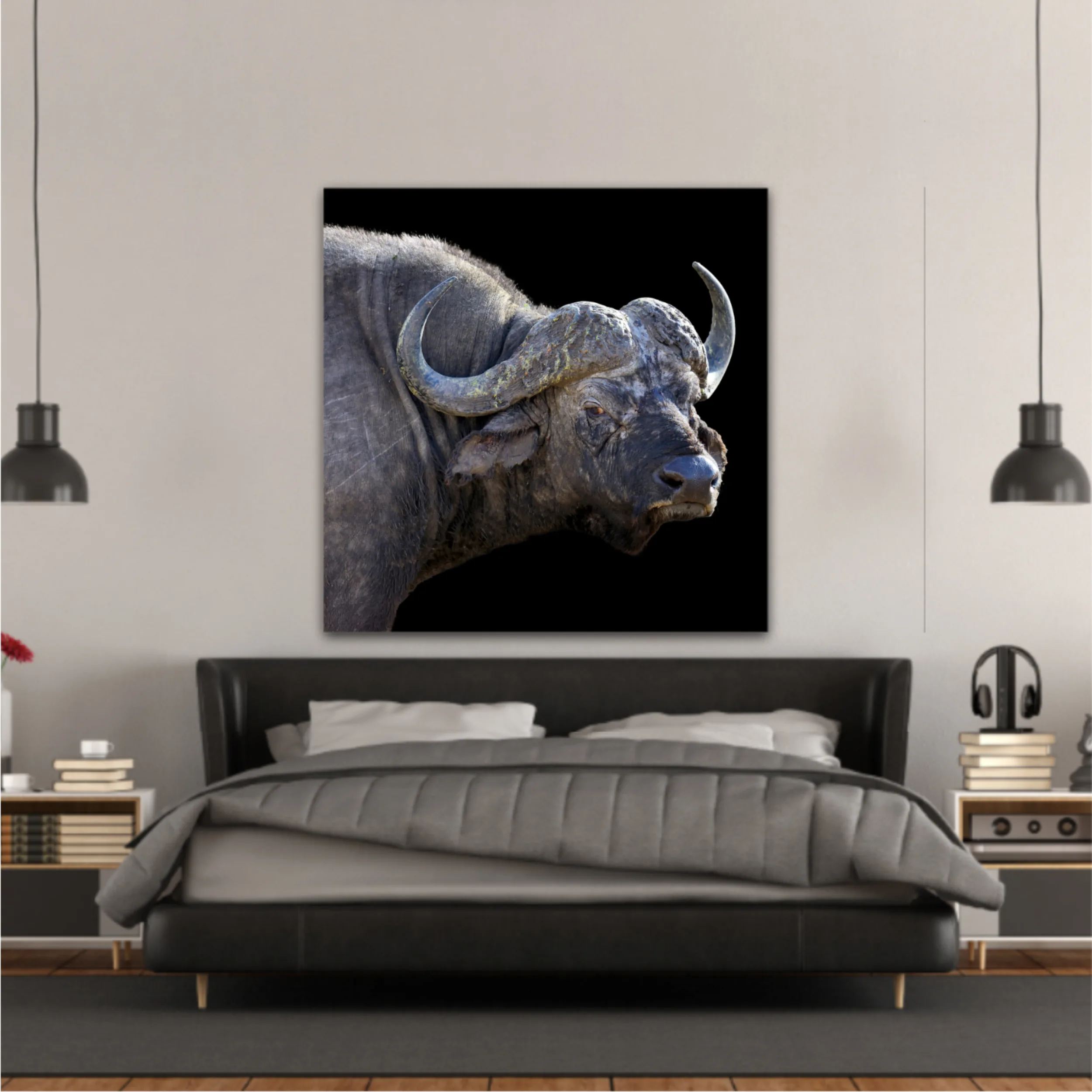 Wild african buffalo