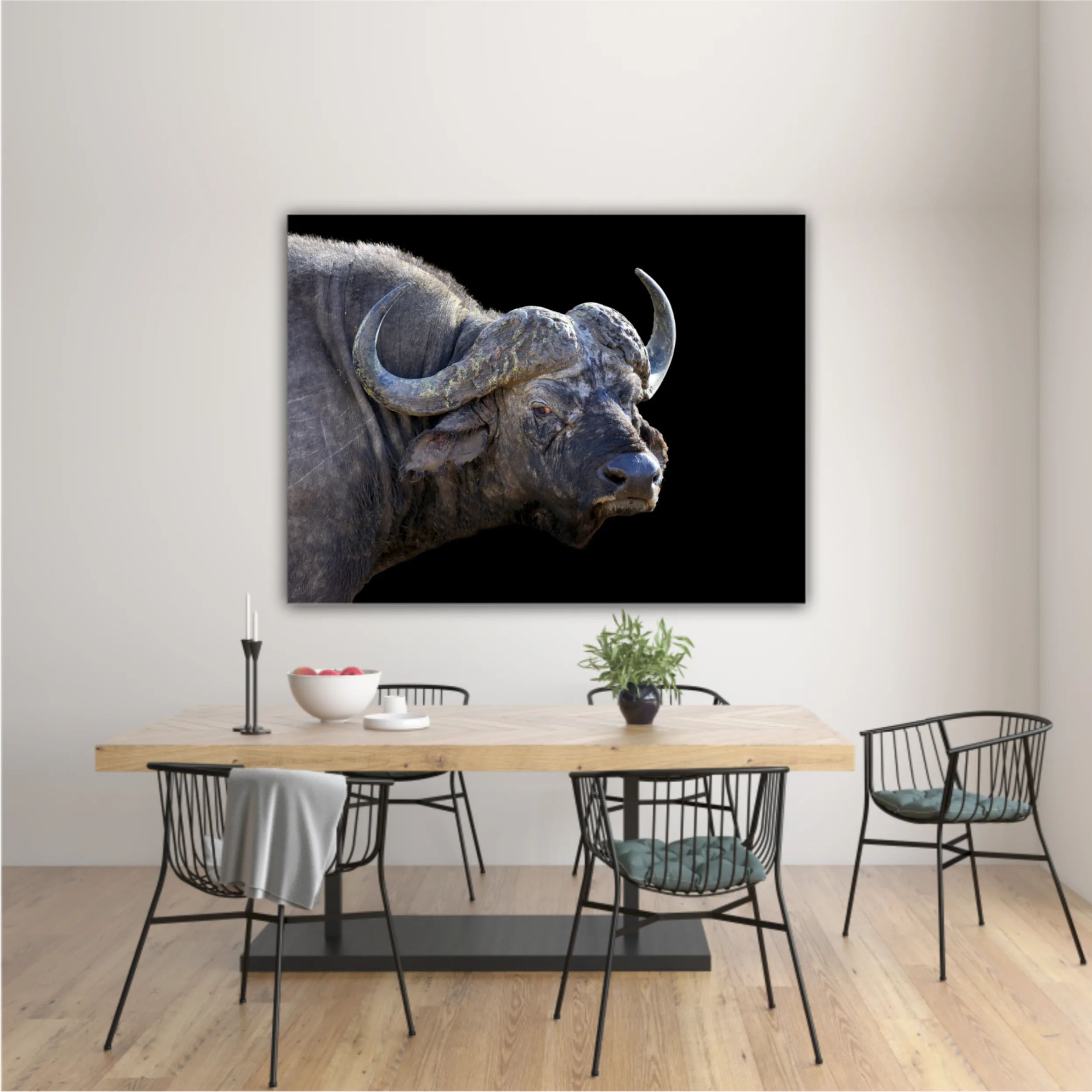 Wild african buffalo