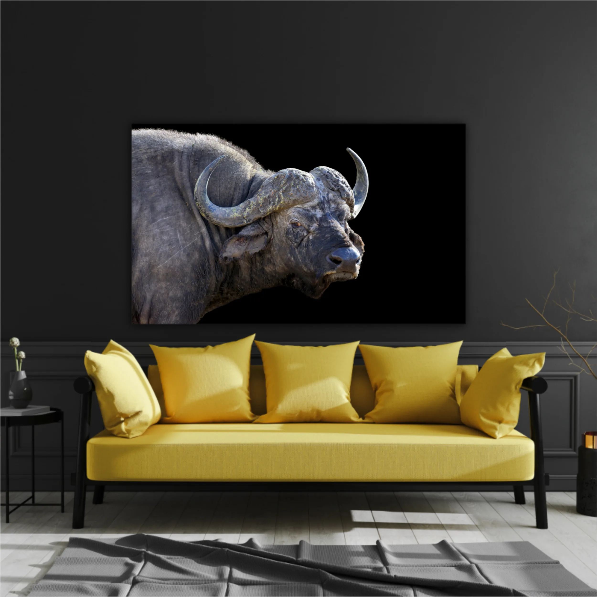 Wild african buffalo