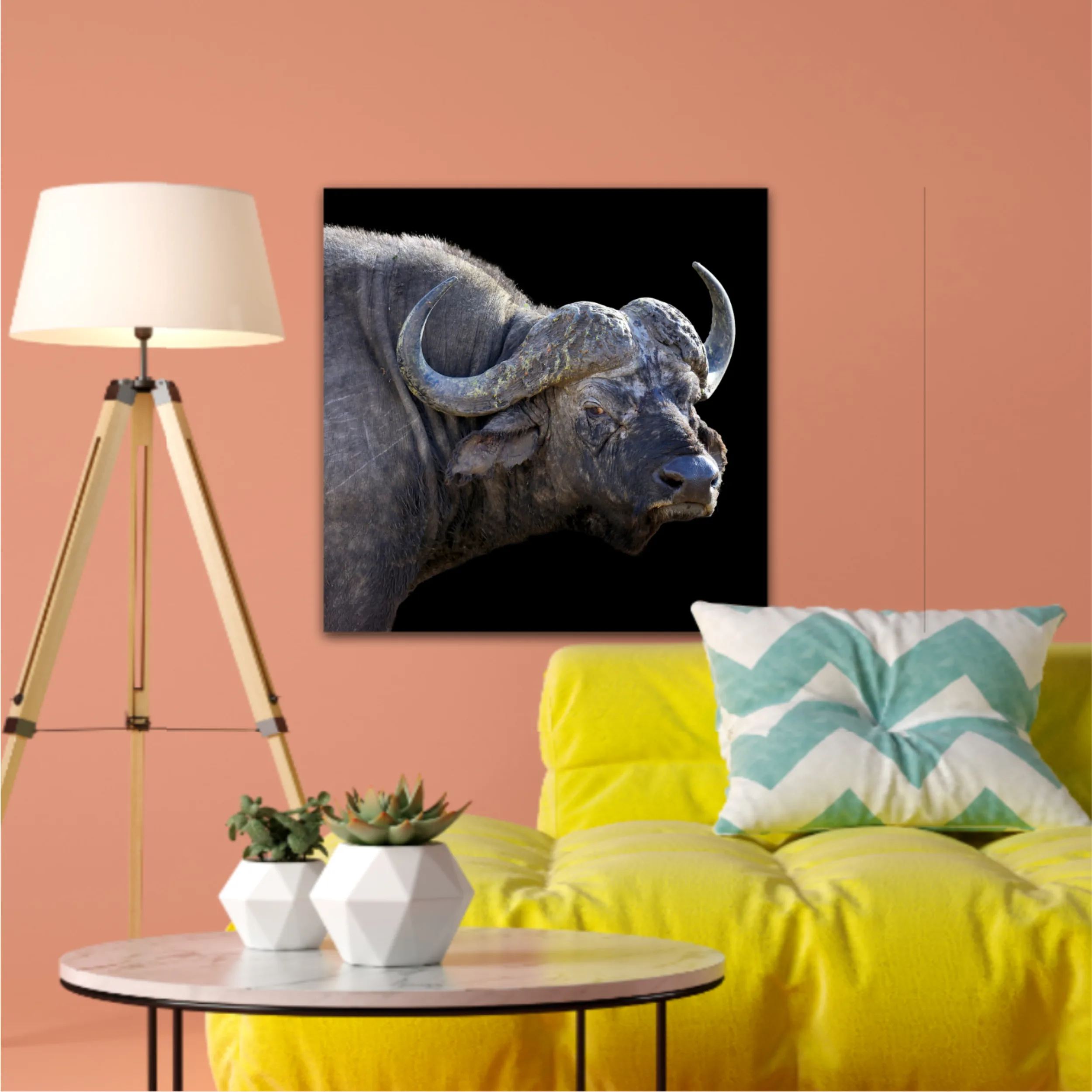 Wild african buffalo