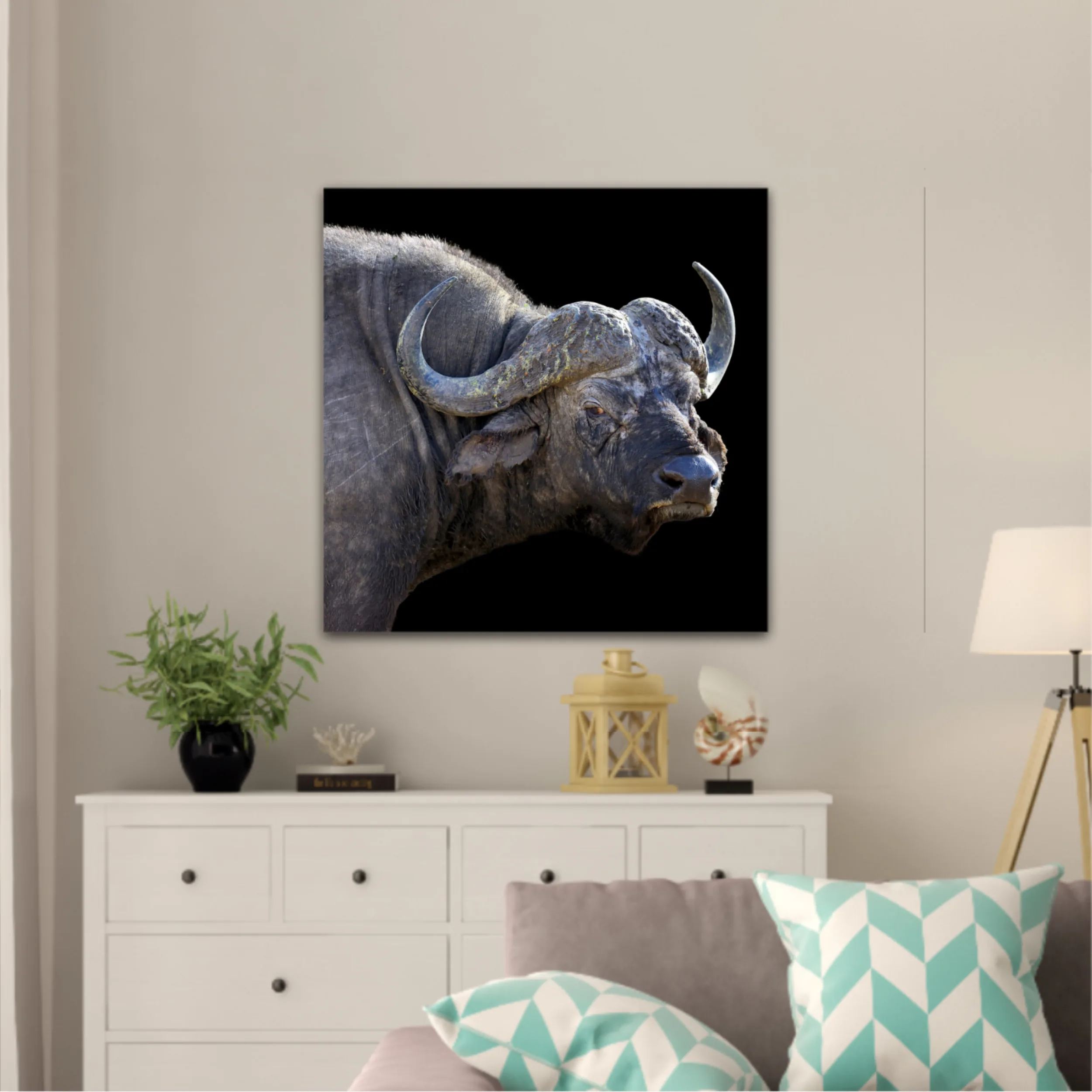 Wild african buffalo