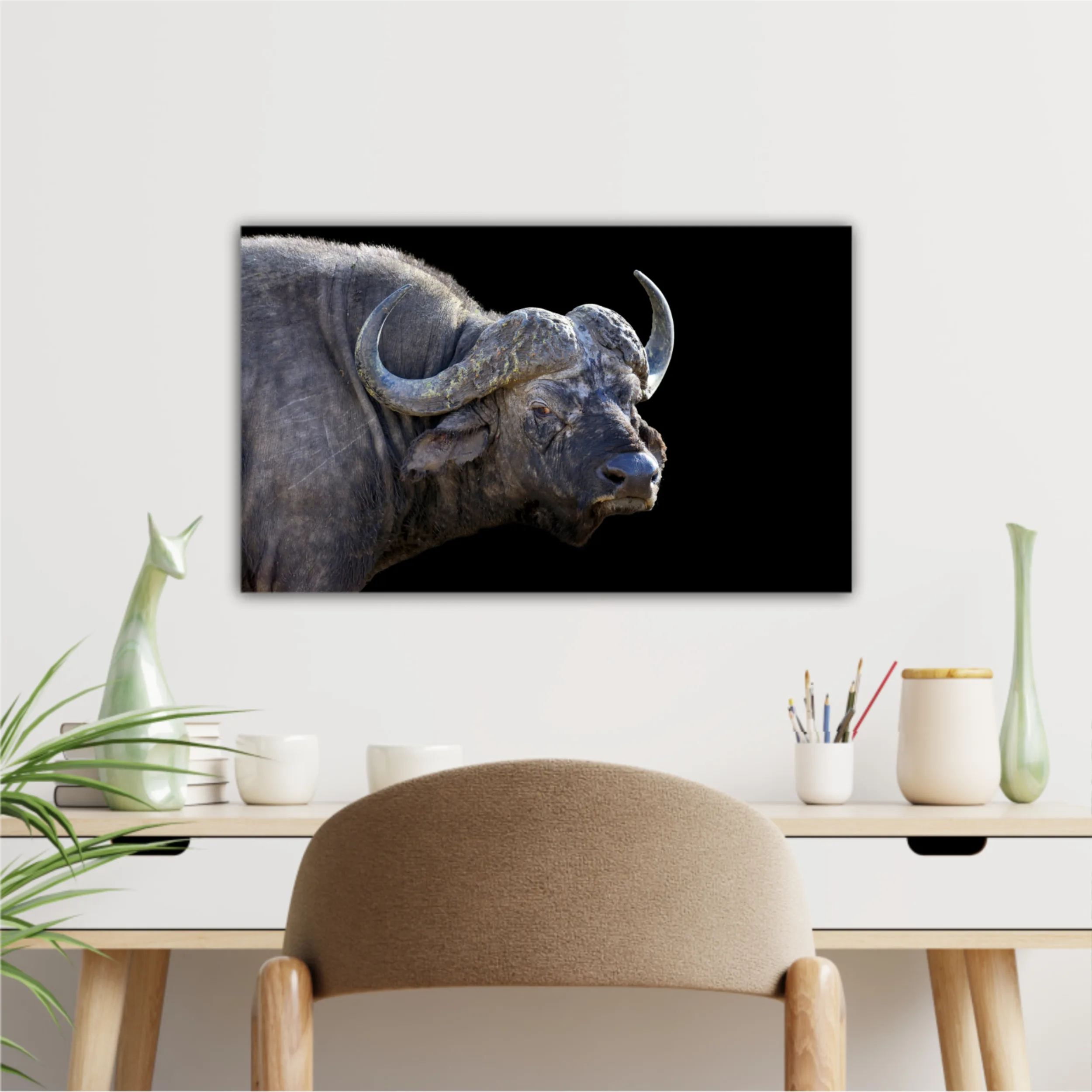 Wild african buffalo