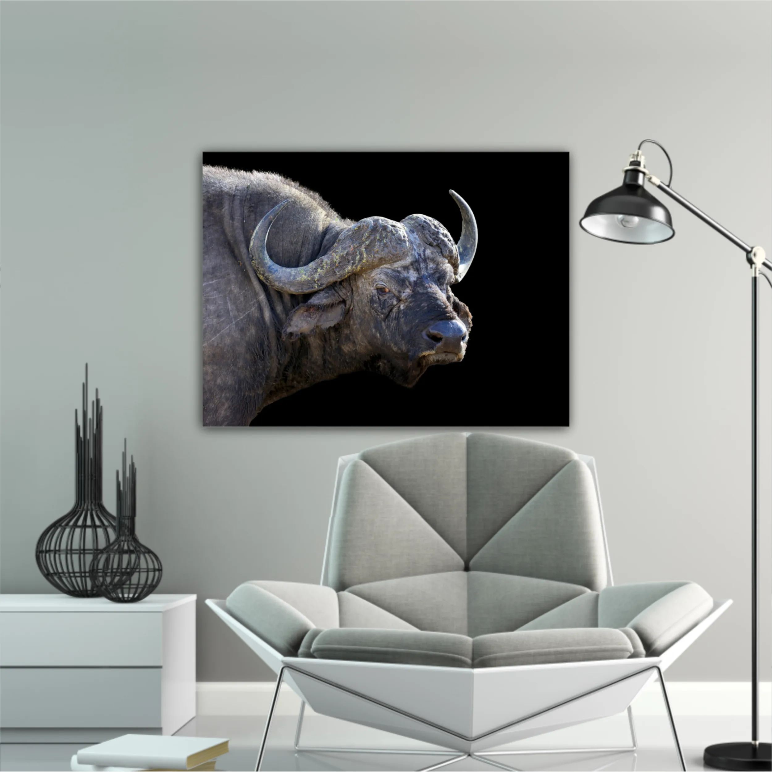 Wild african buffalo