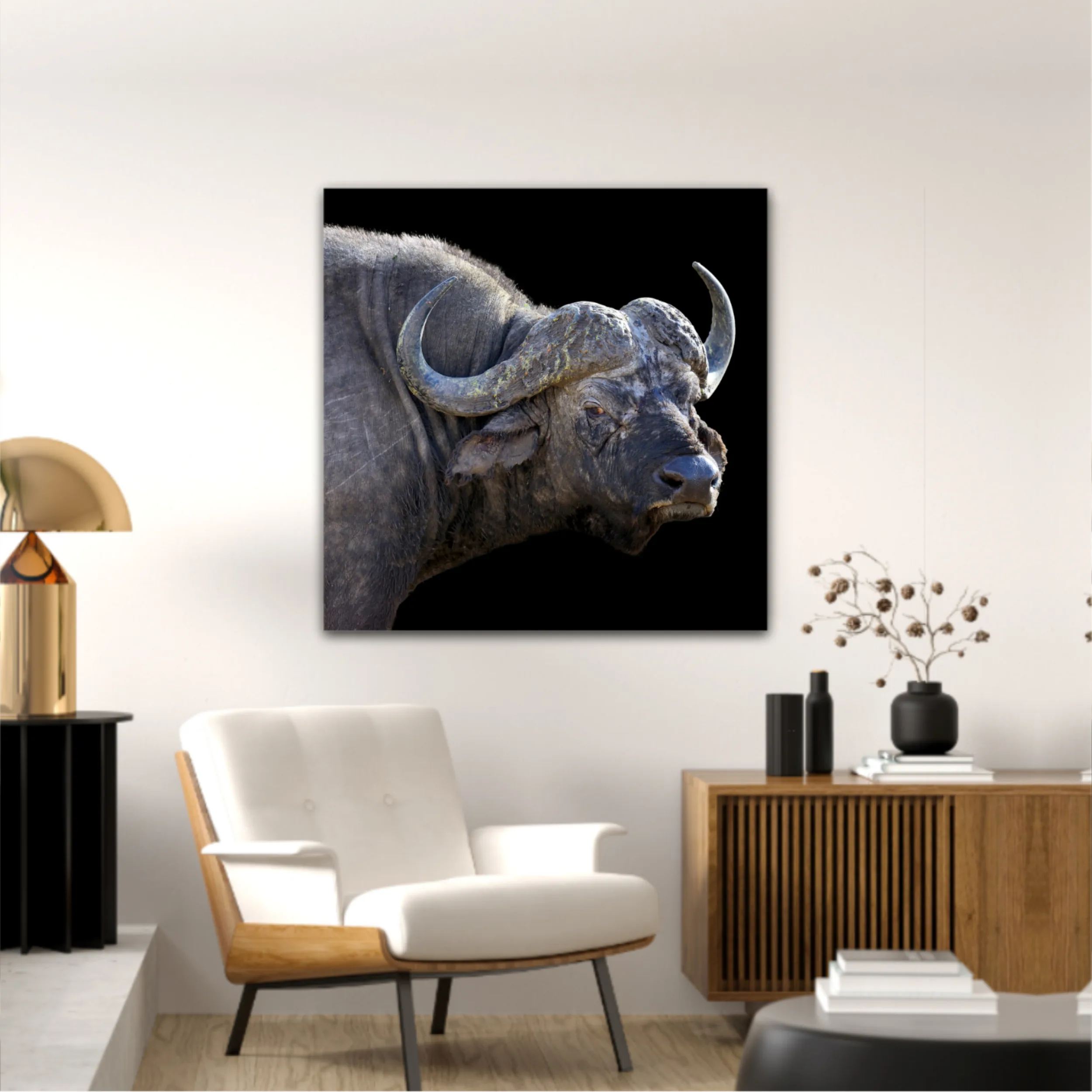 Wild african buffalo