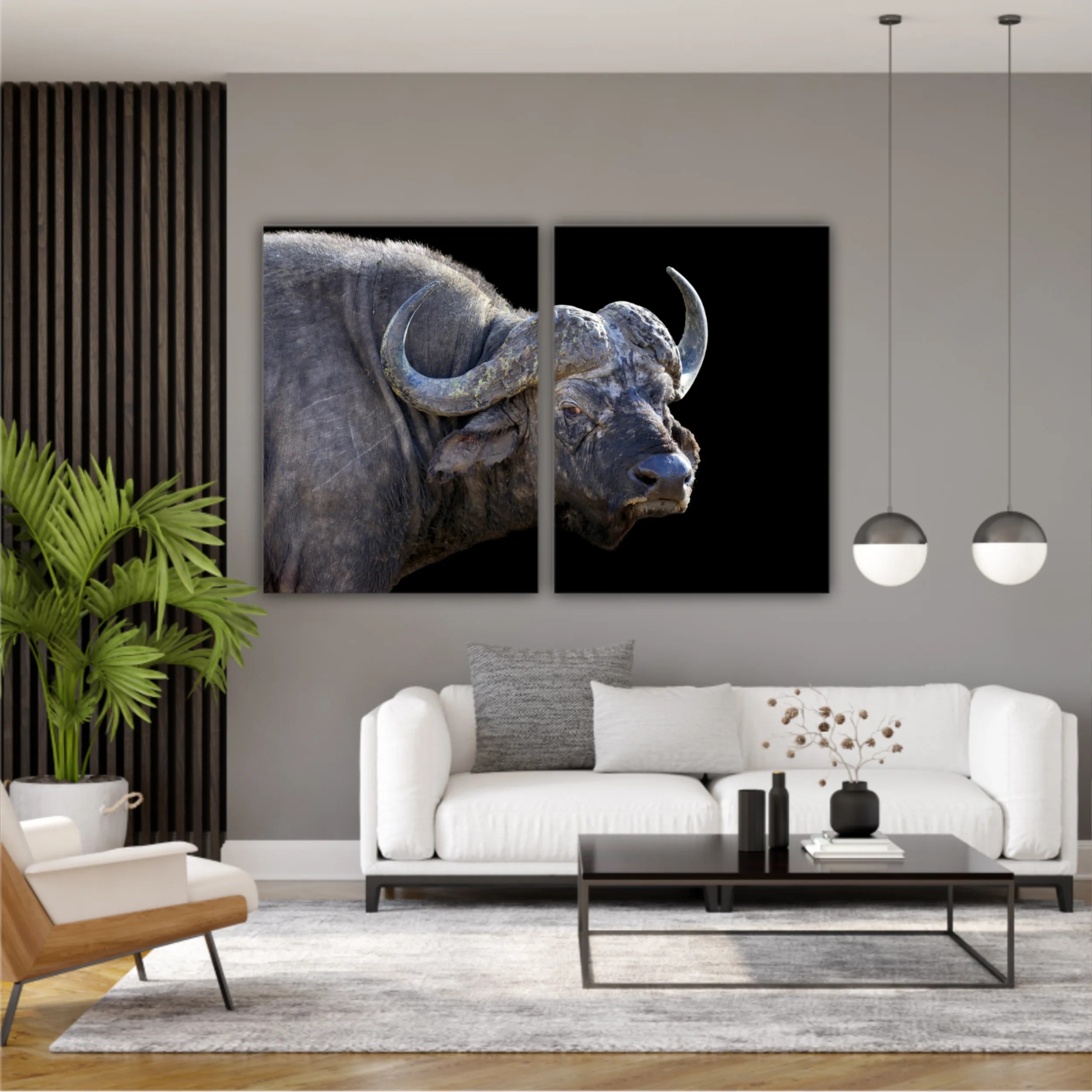 Wild african buffalo