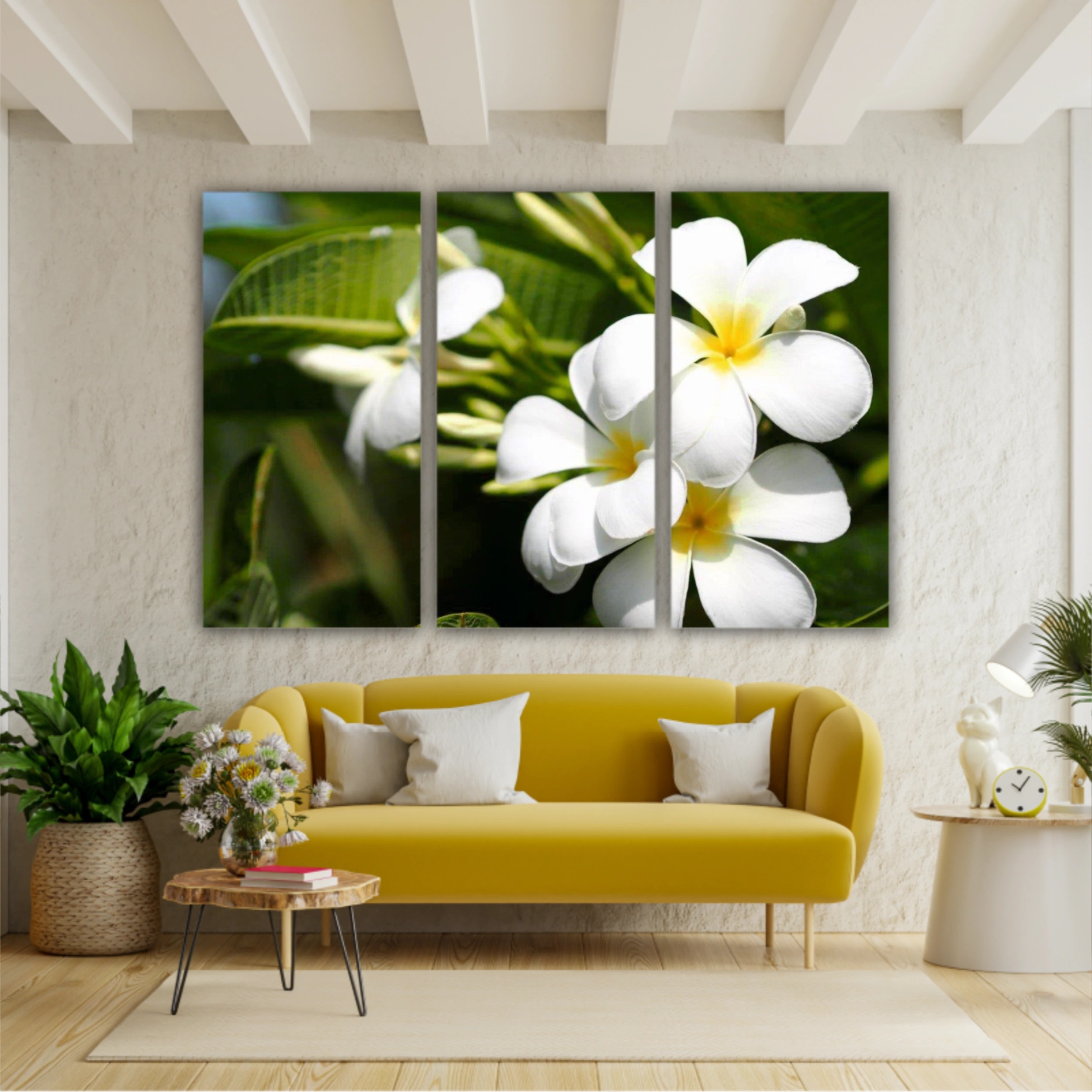 Plumeria