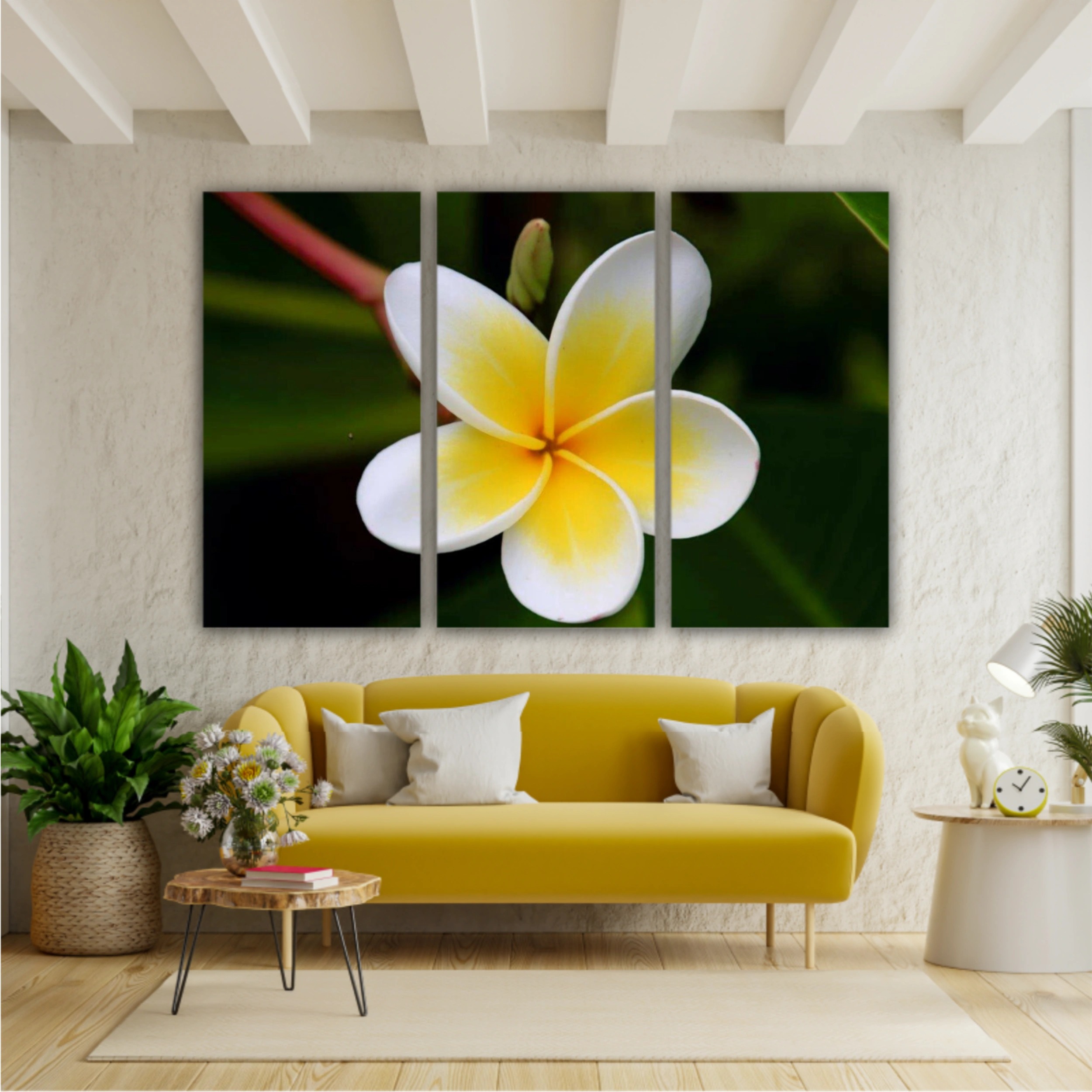 Plumeria