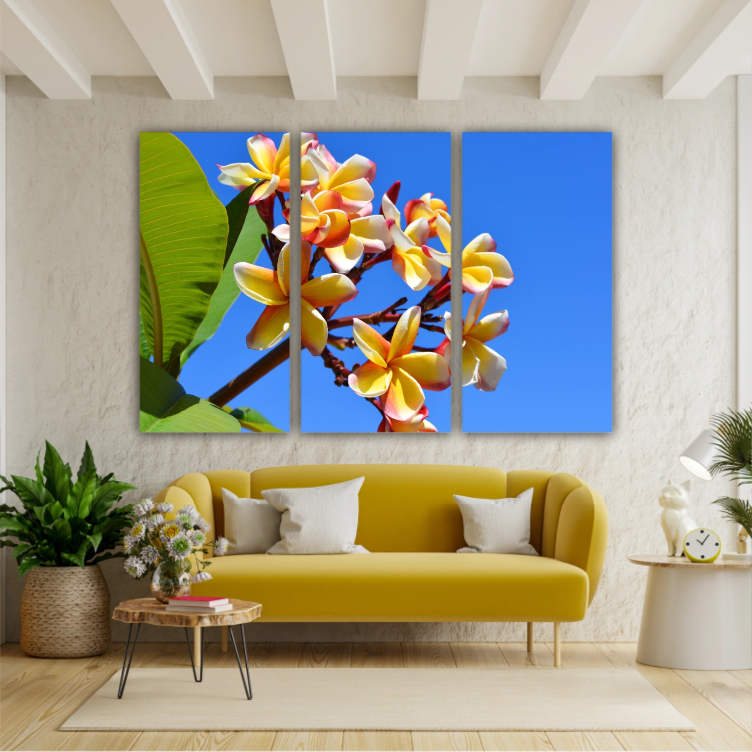 Plumeria