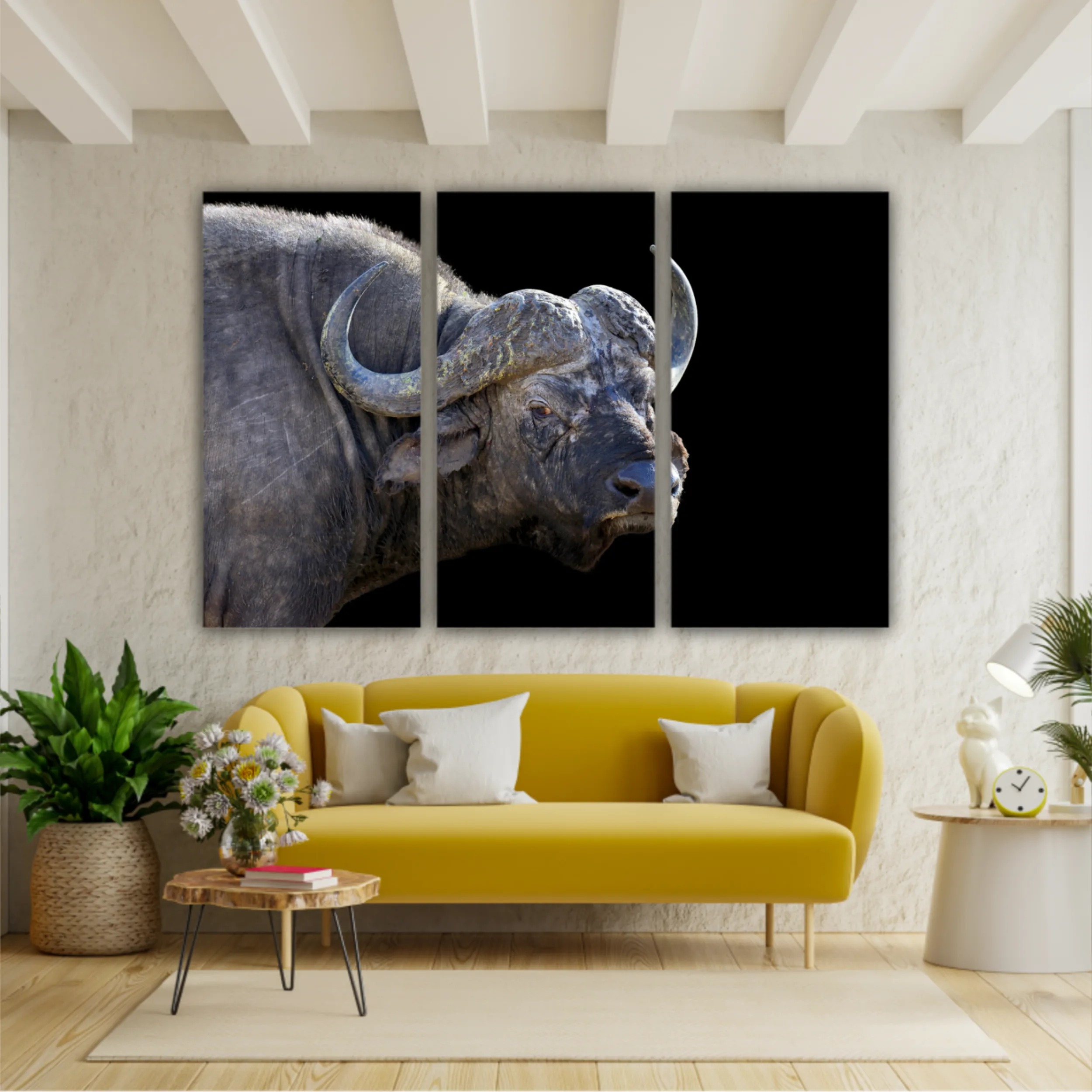 Wild african buffalo