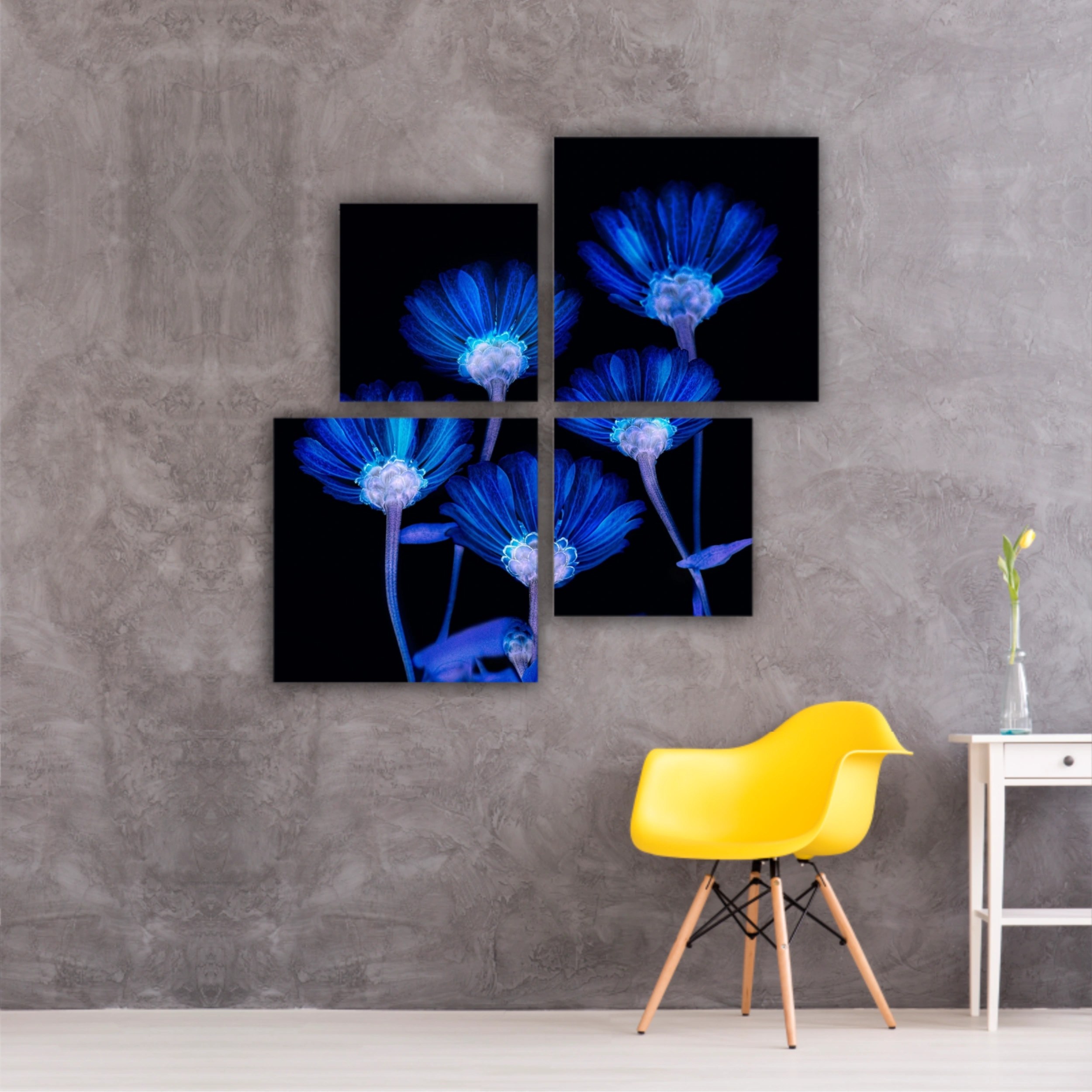 Flori albastre pe fundal negru  |  Blue flowers in Black Background