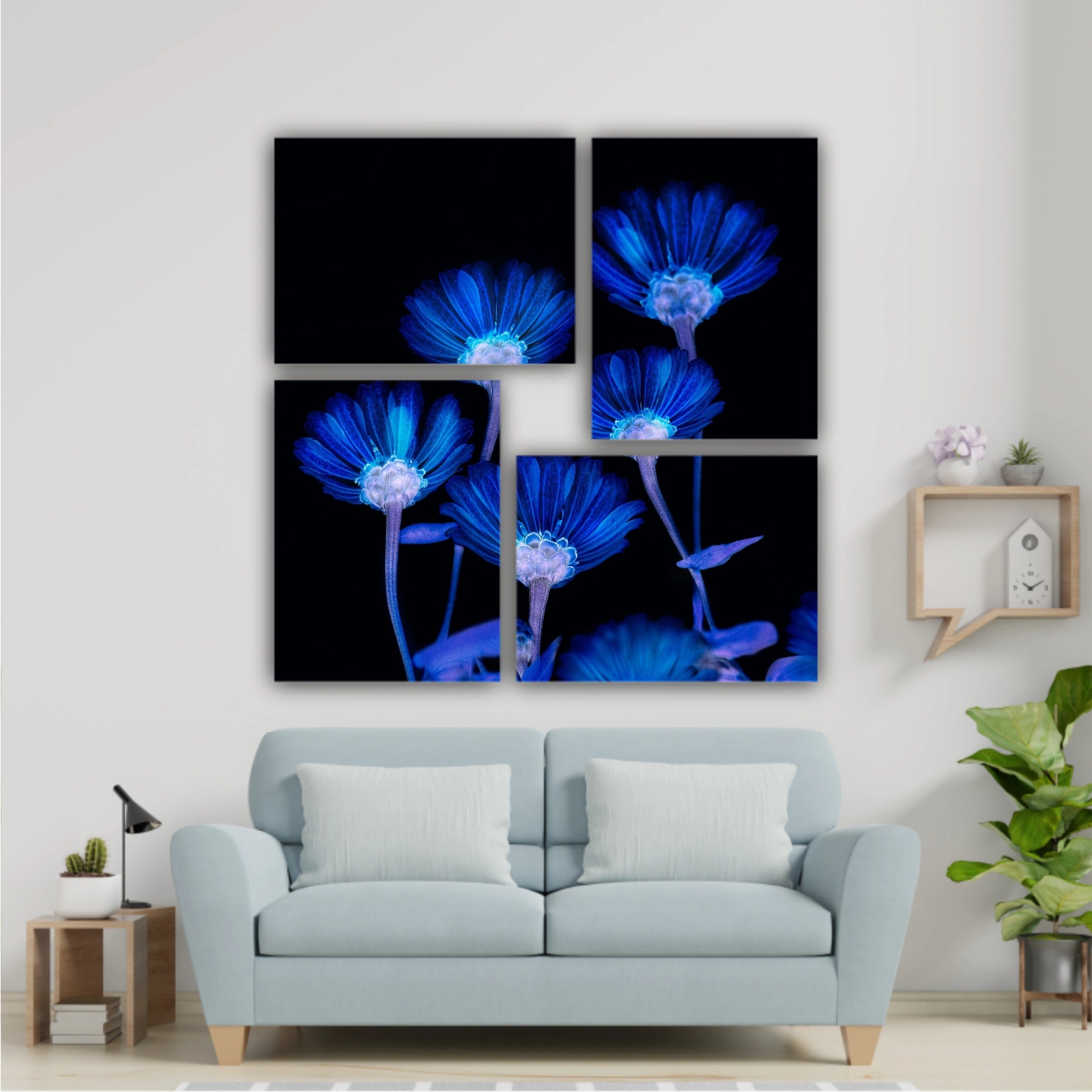 Flori albastre pe fundal negru  |  Blue flowers in Black Background