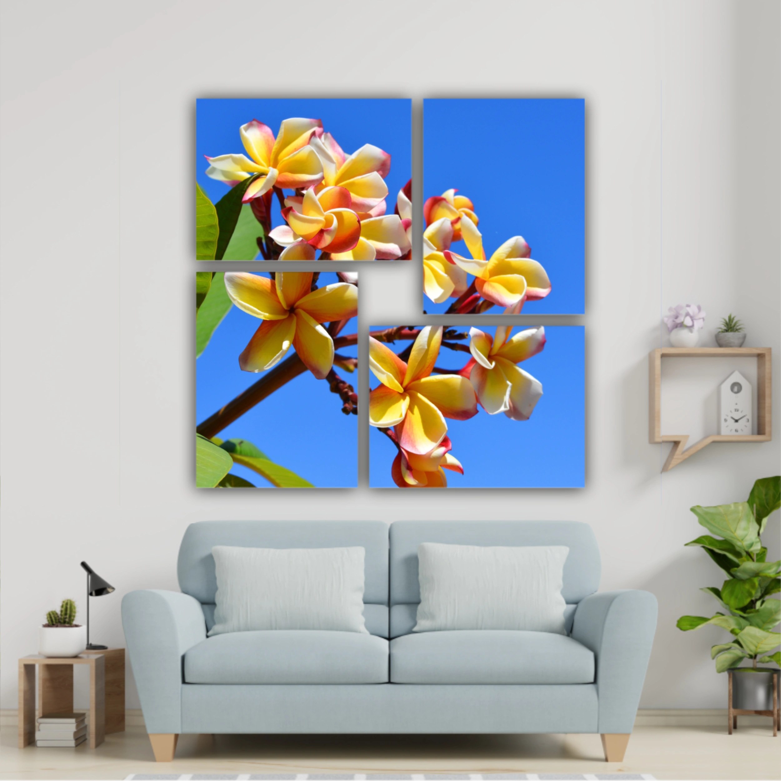 Plumeria