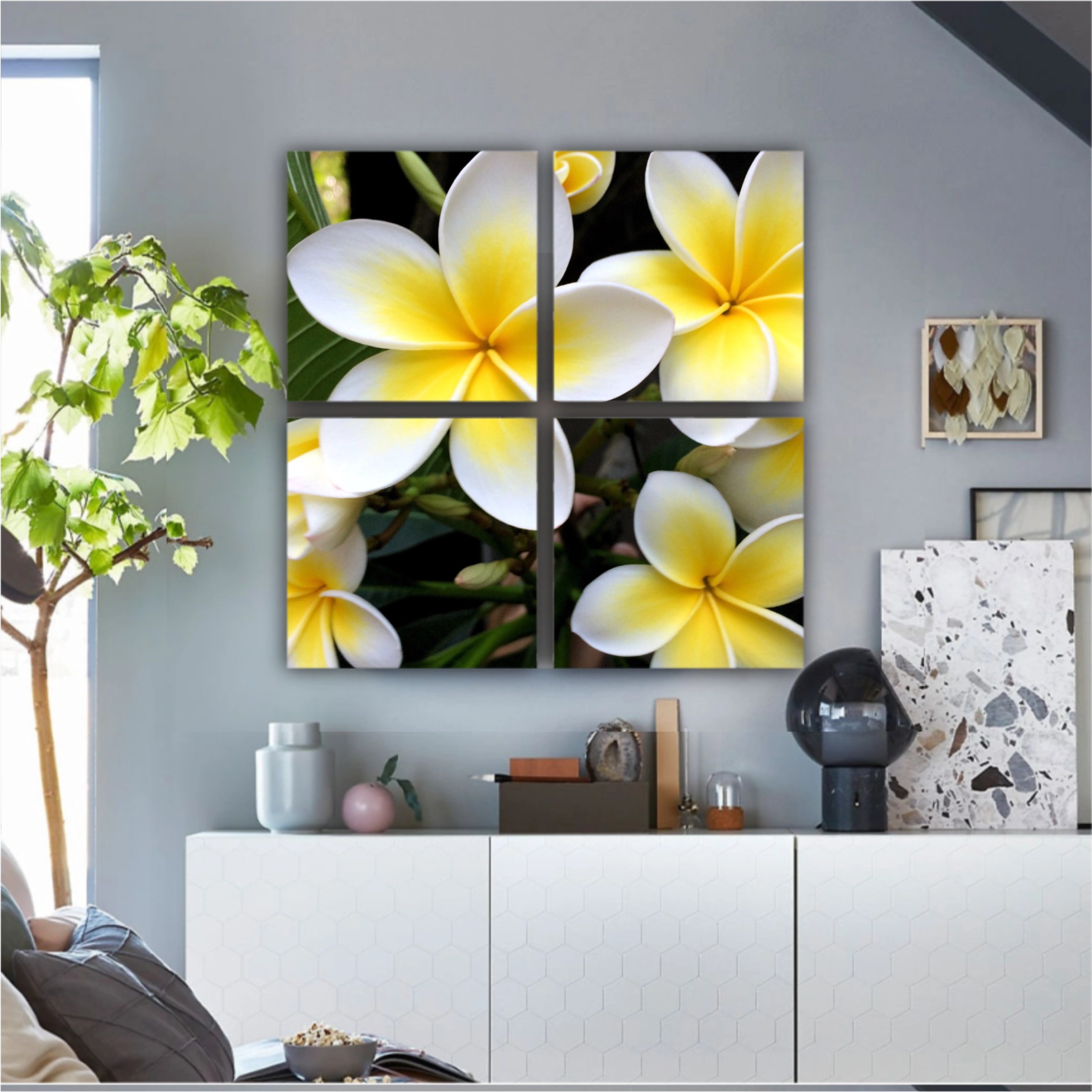 Plumeria