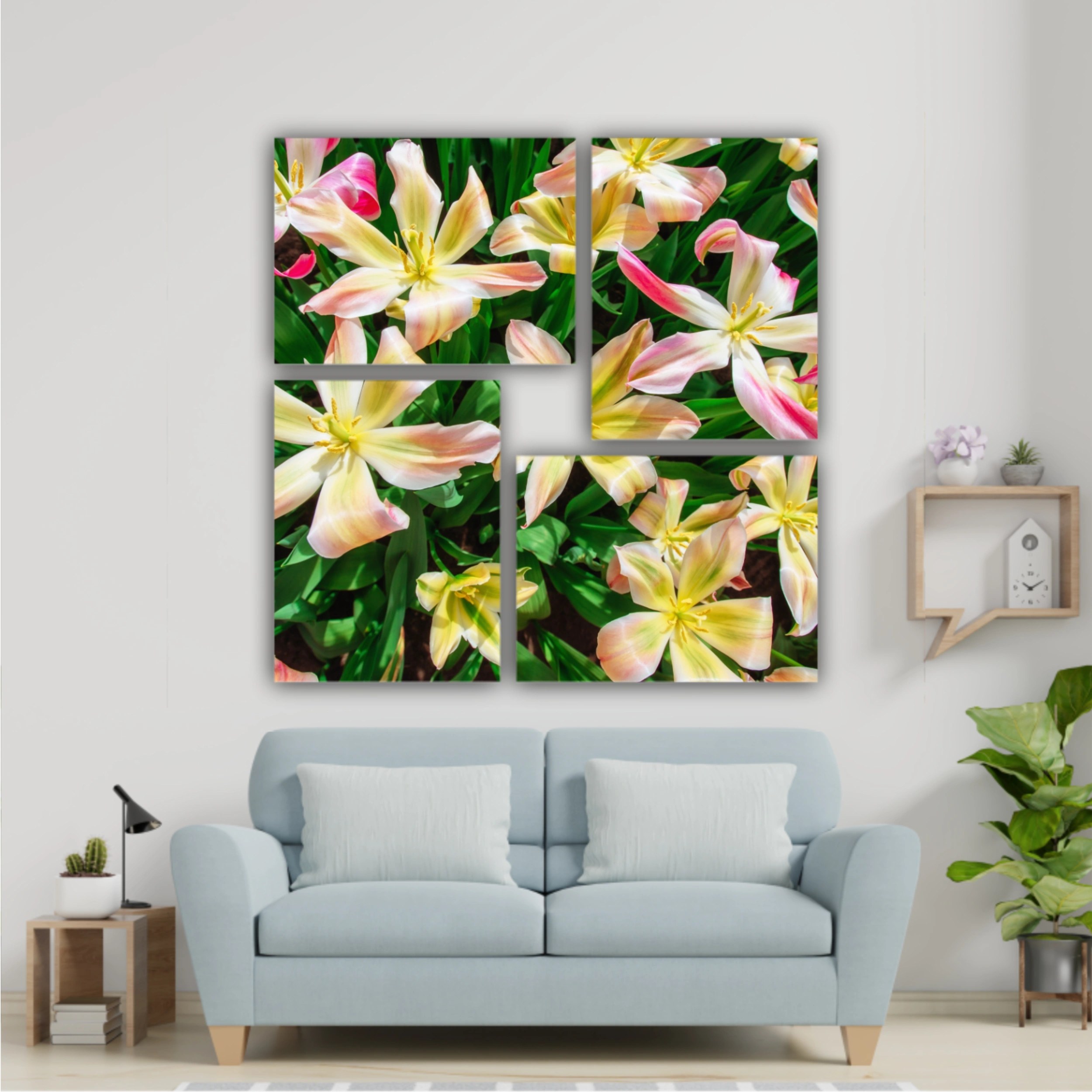 Plumeria