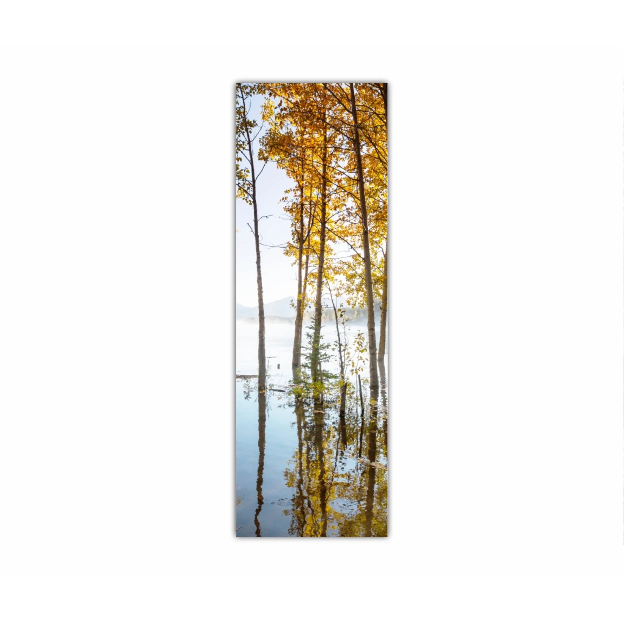 Forest reflections in the lake water