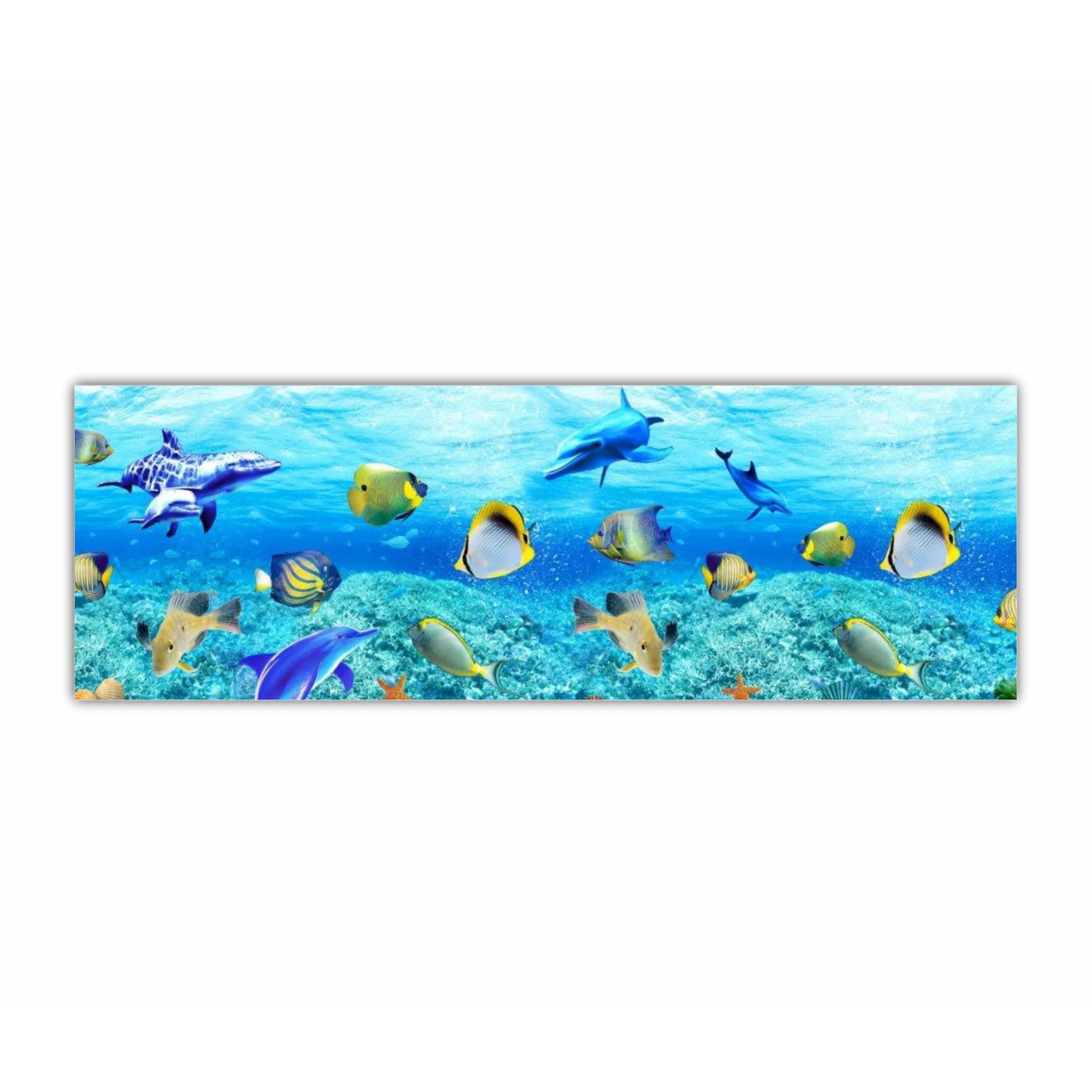 Coral reef sand water 2