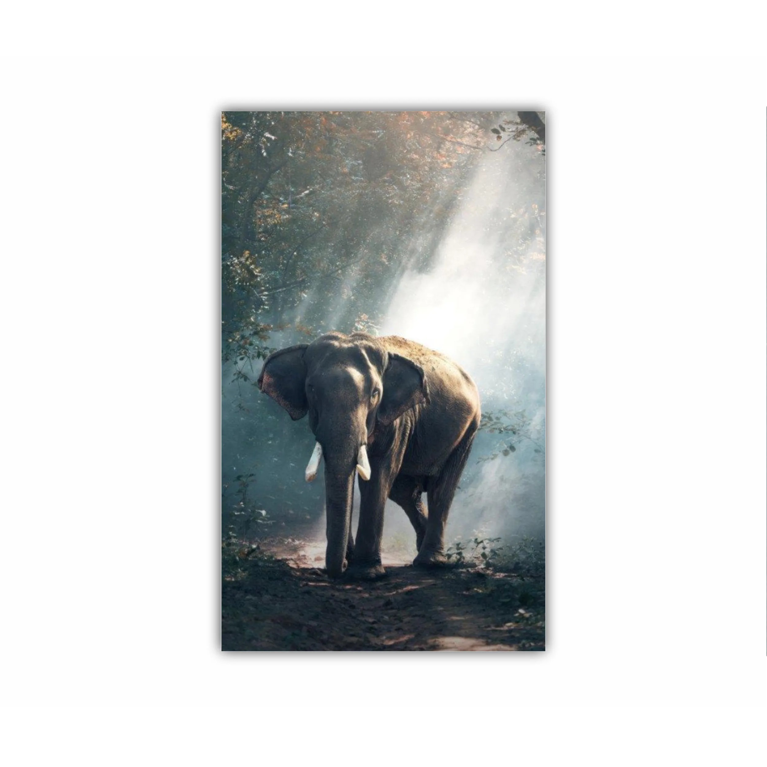 Elefant